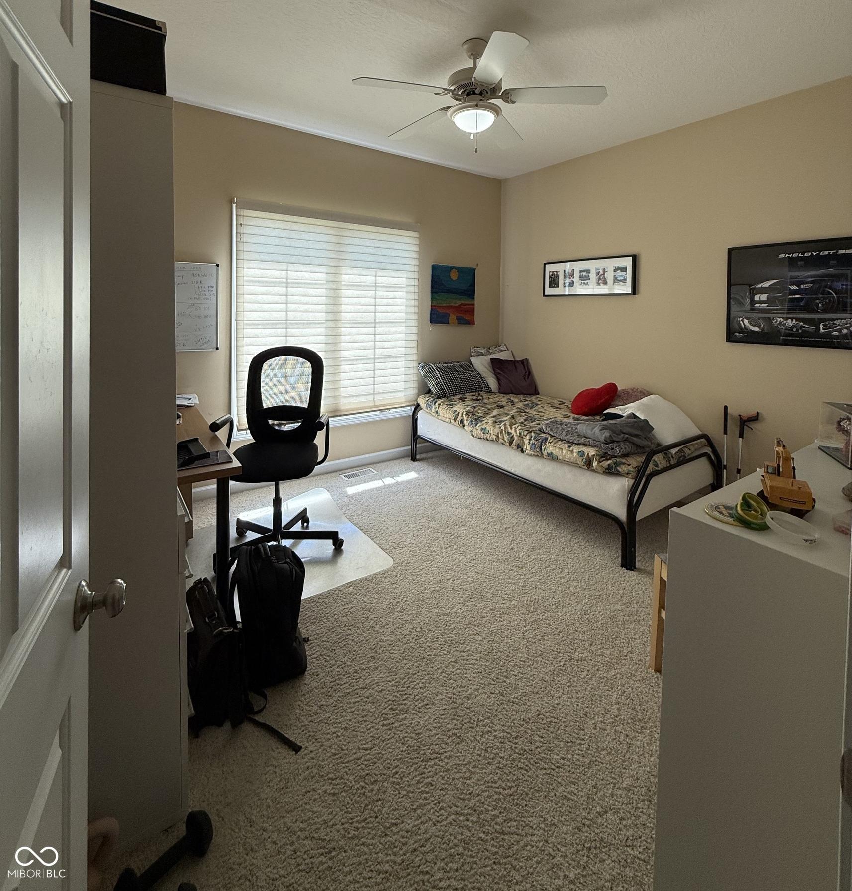 Photo #11