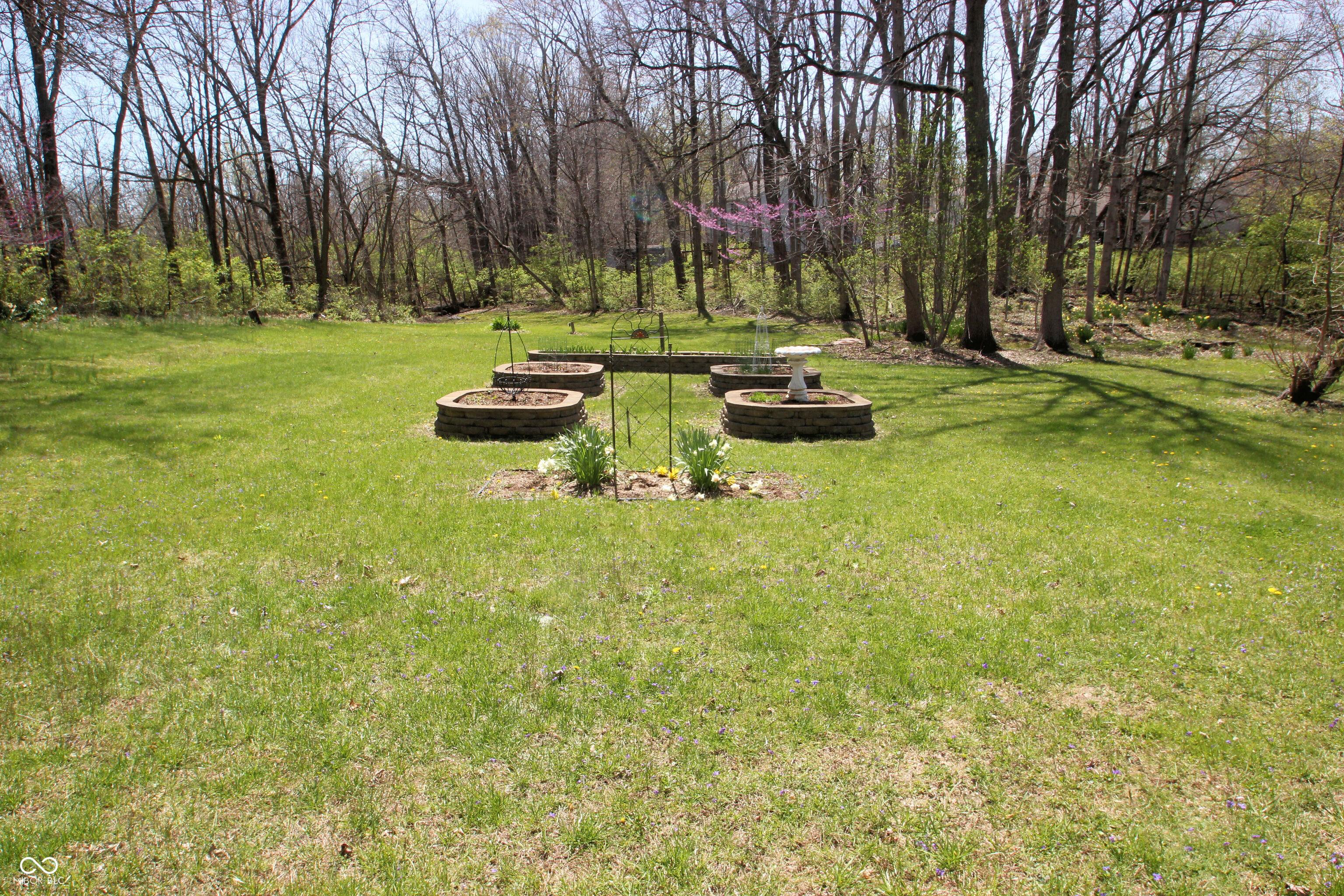 Photo #45