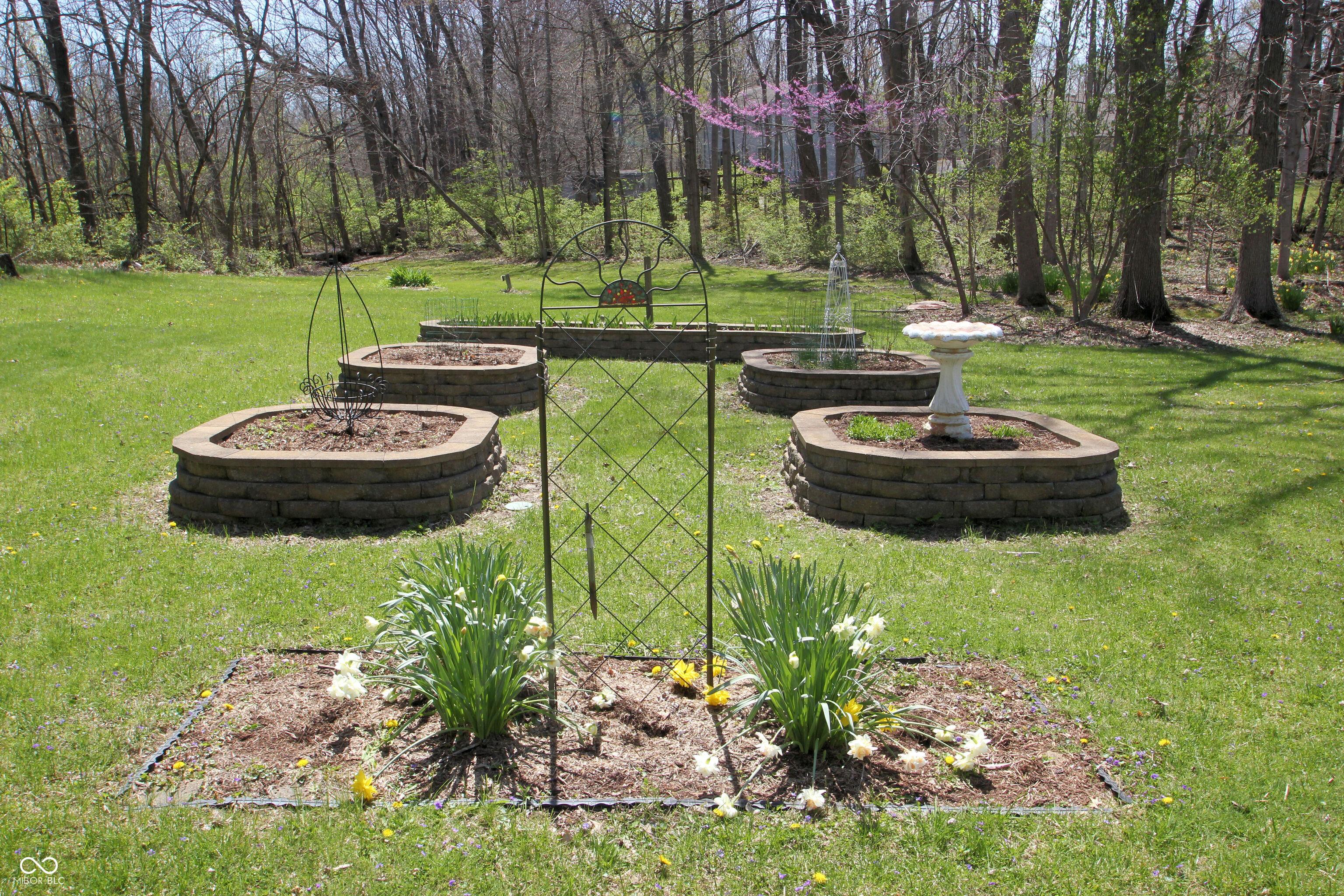 Photo #46