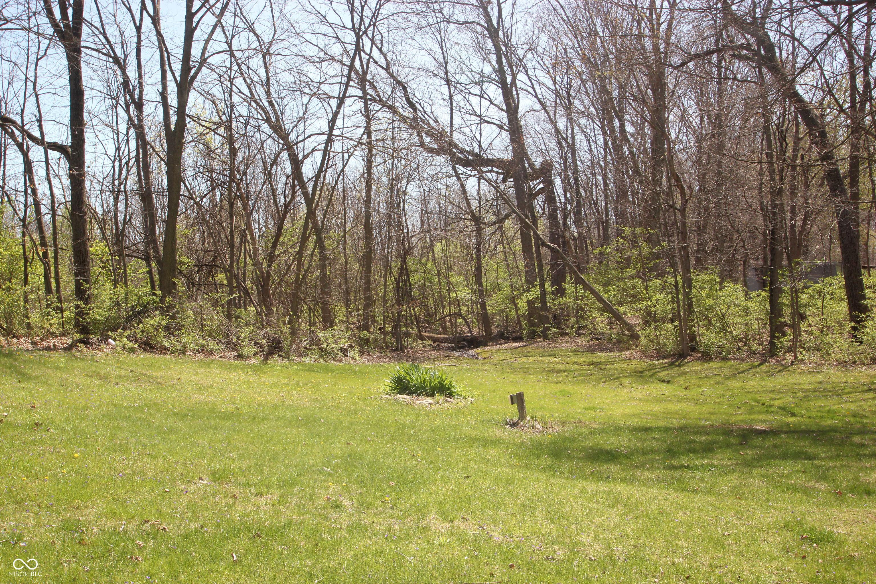 Photo #51