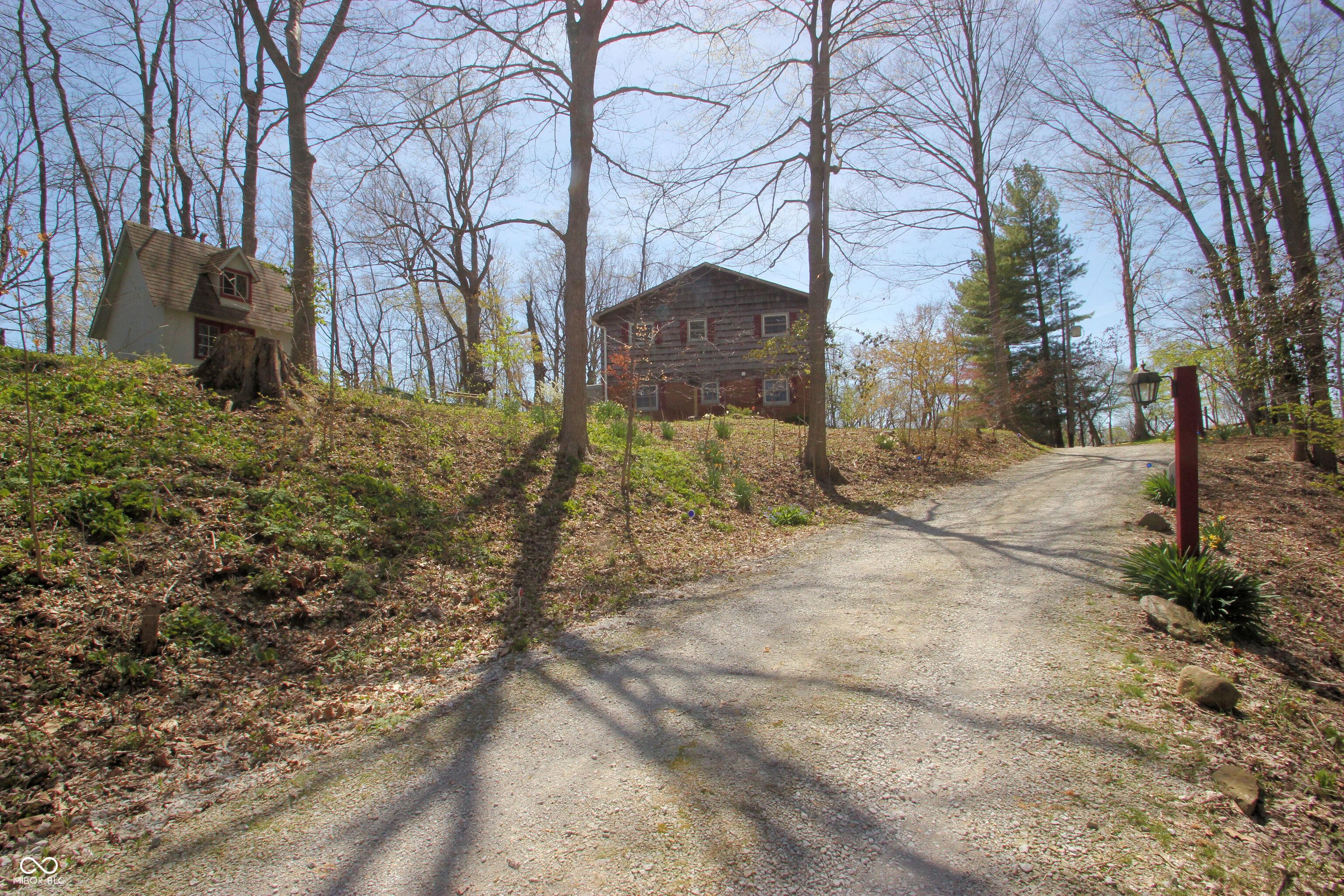 Photo #4
