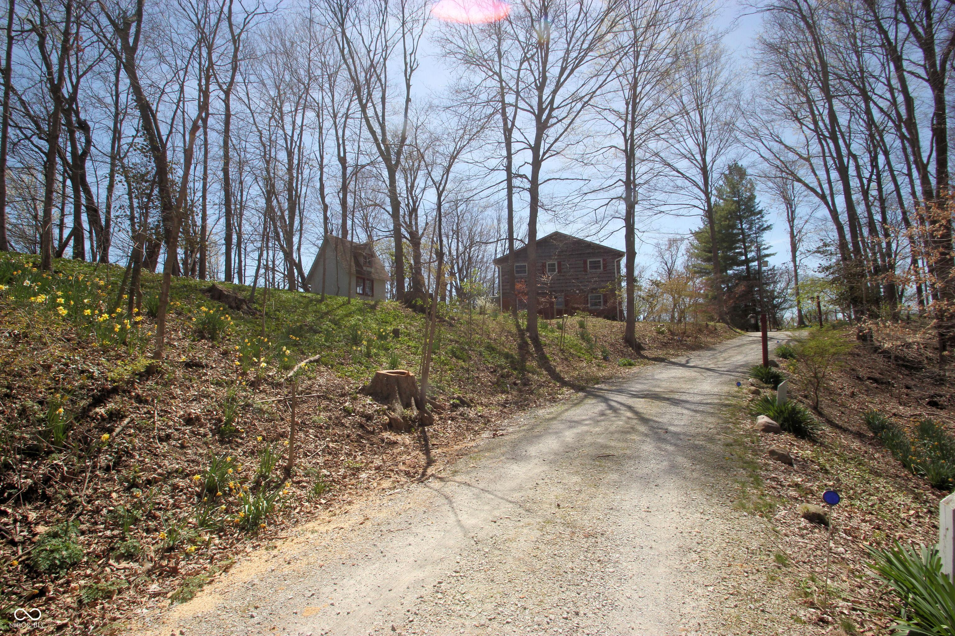 Photo #31