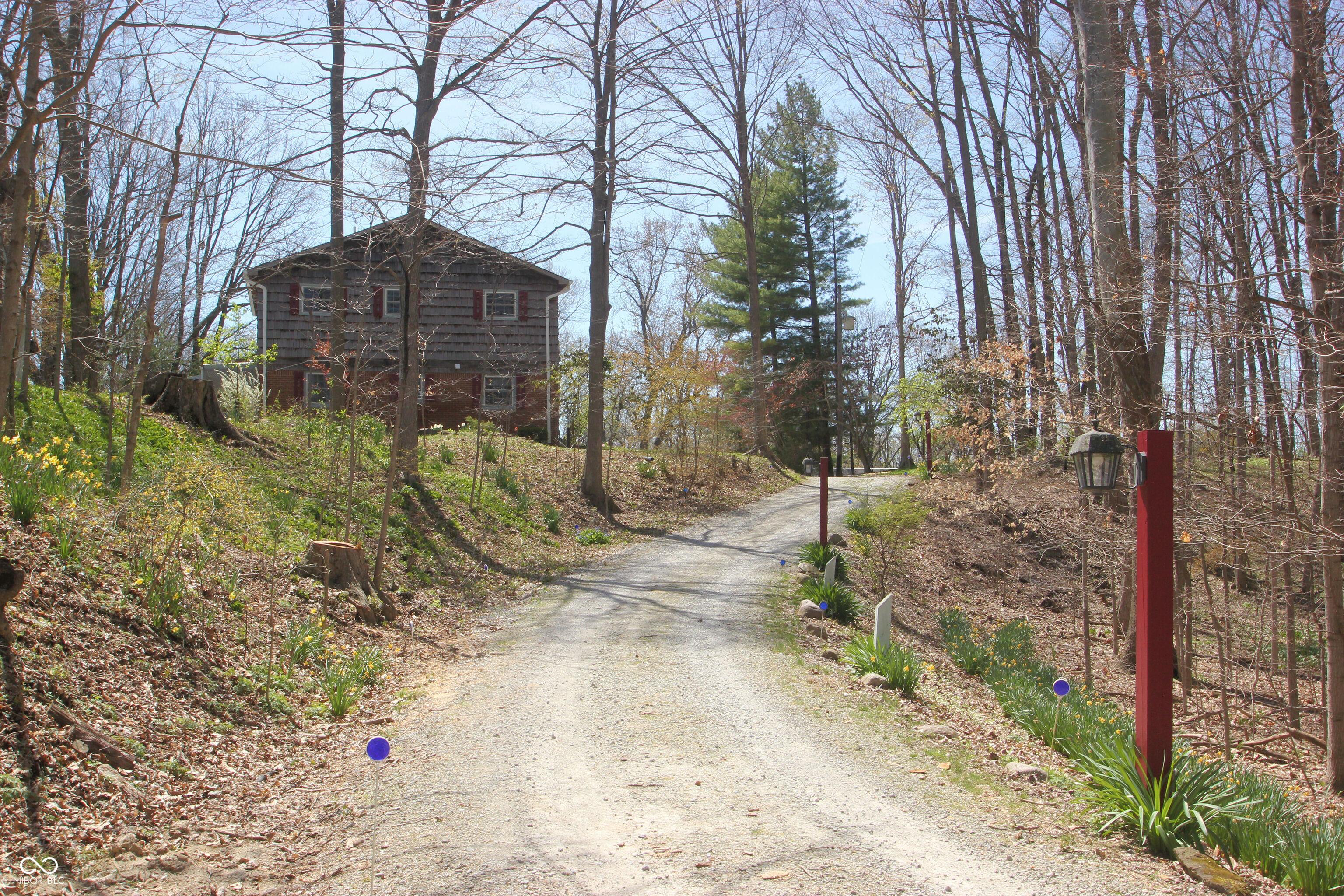 Photo #3