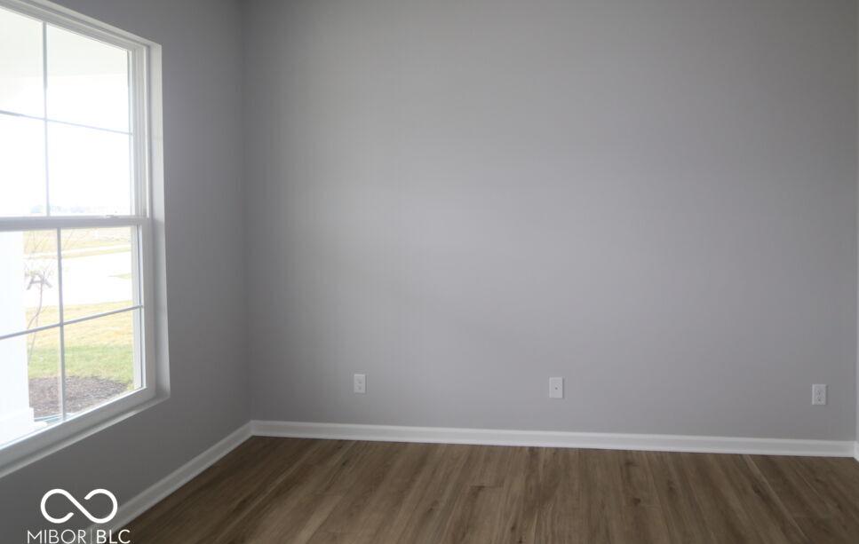 Photo #8