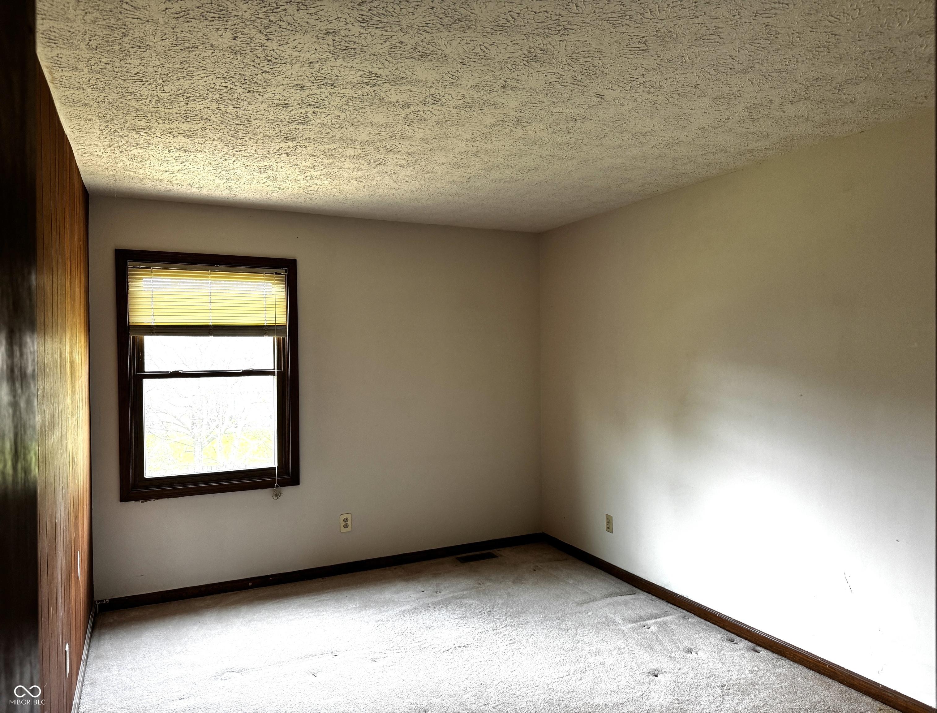 Photo #31