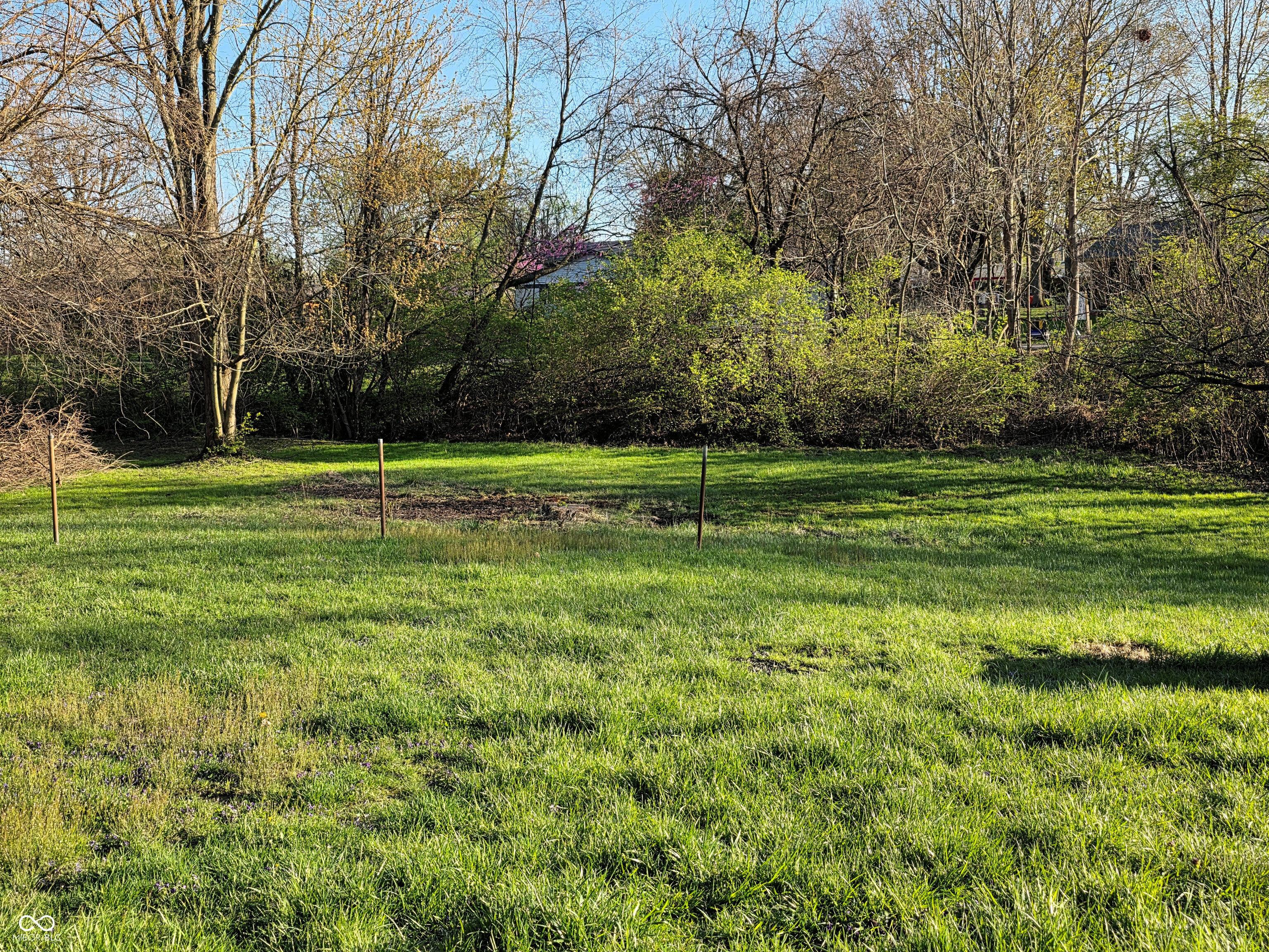 Photo #22