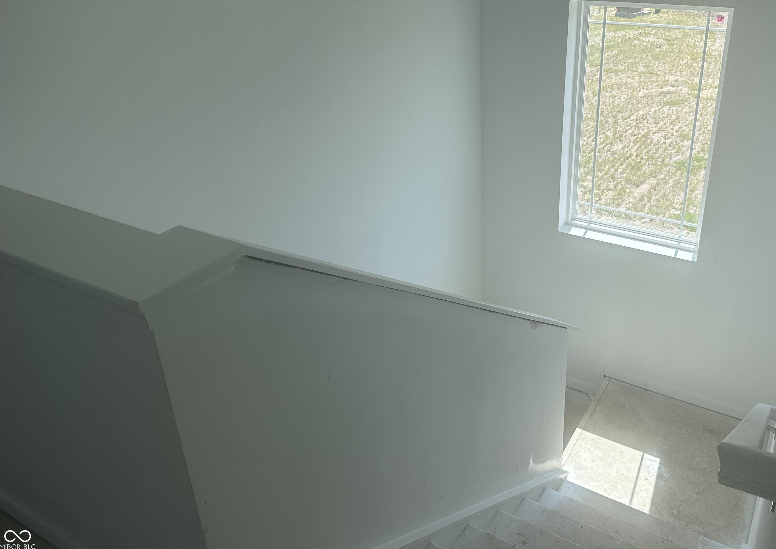Photo #5