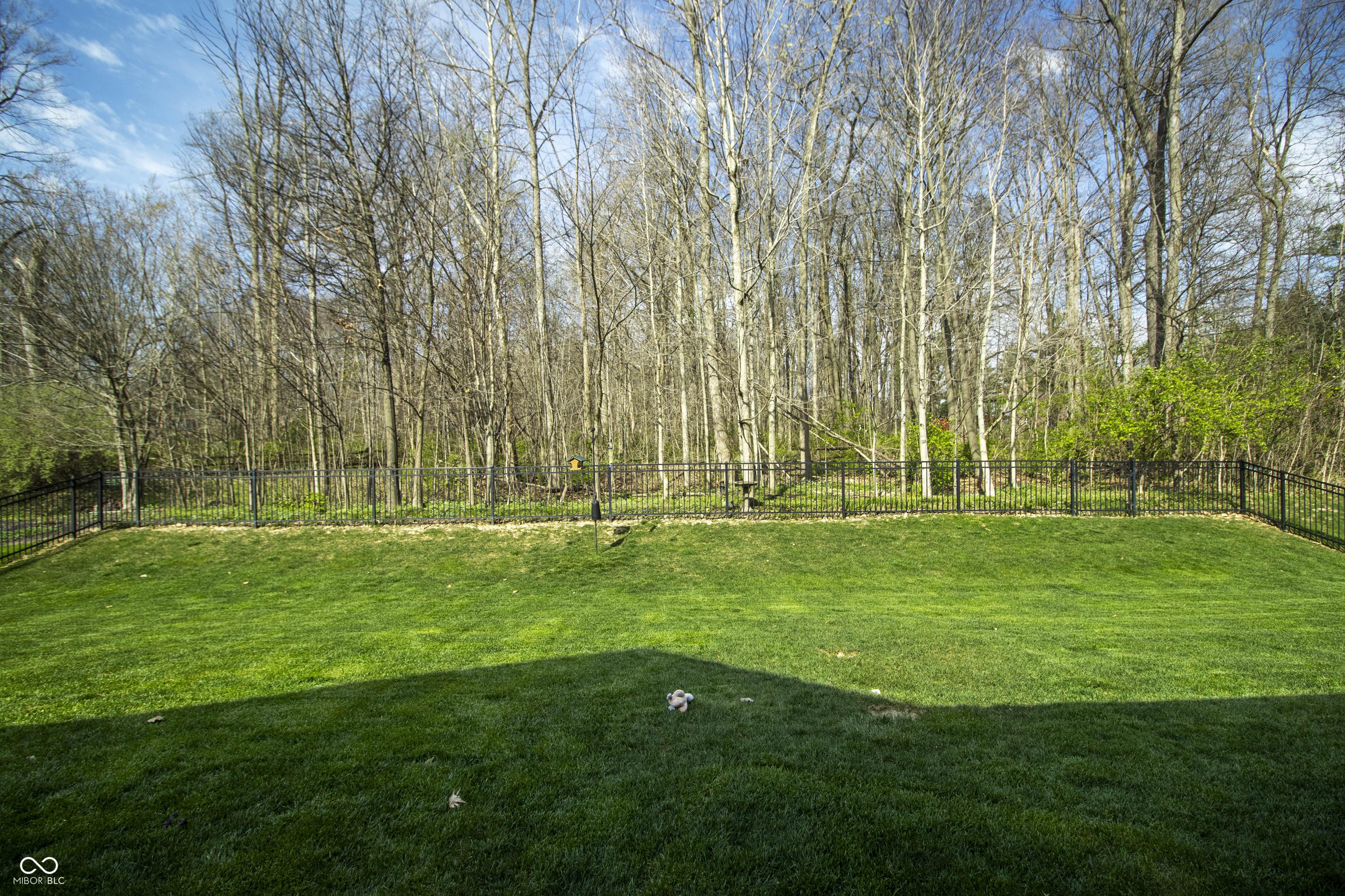 Photo #64