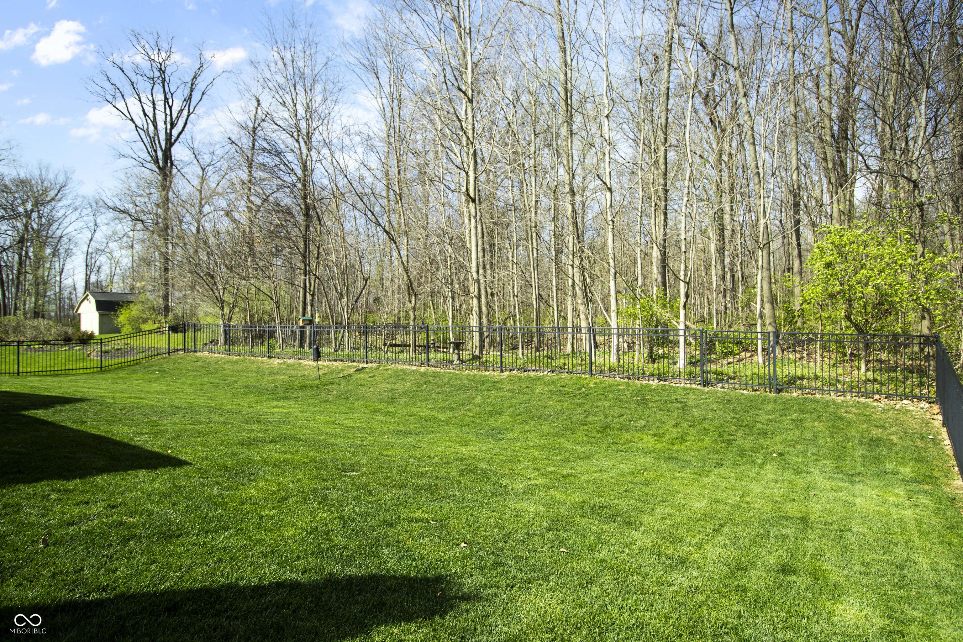 Photo #63