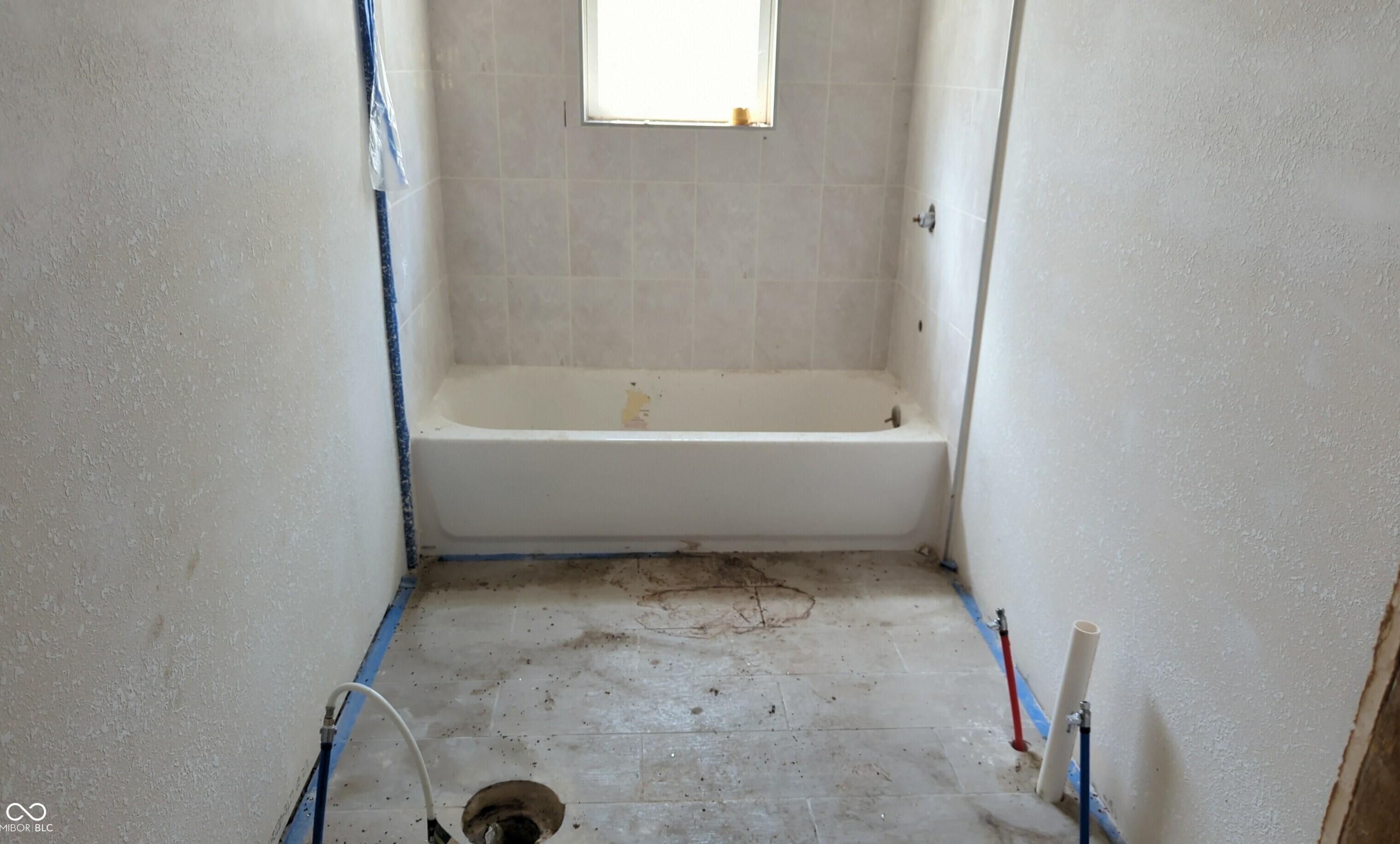 Photo #11