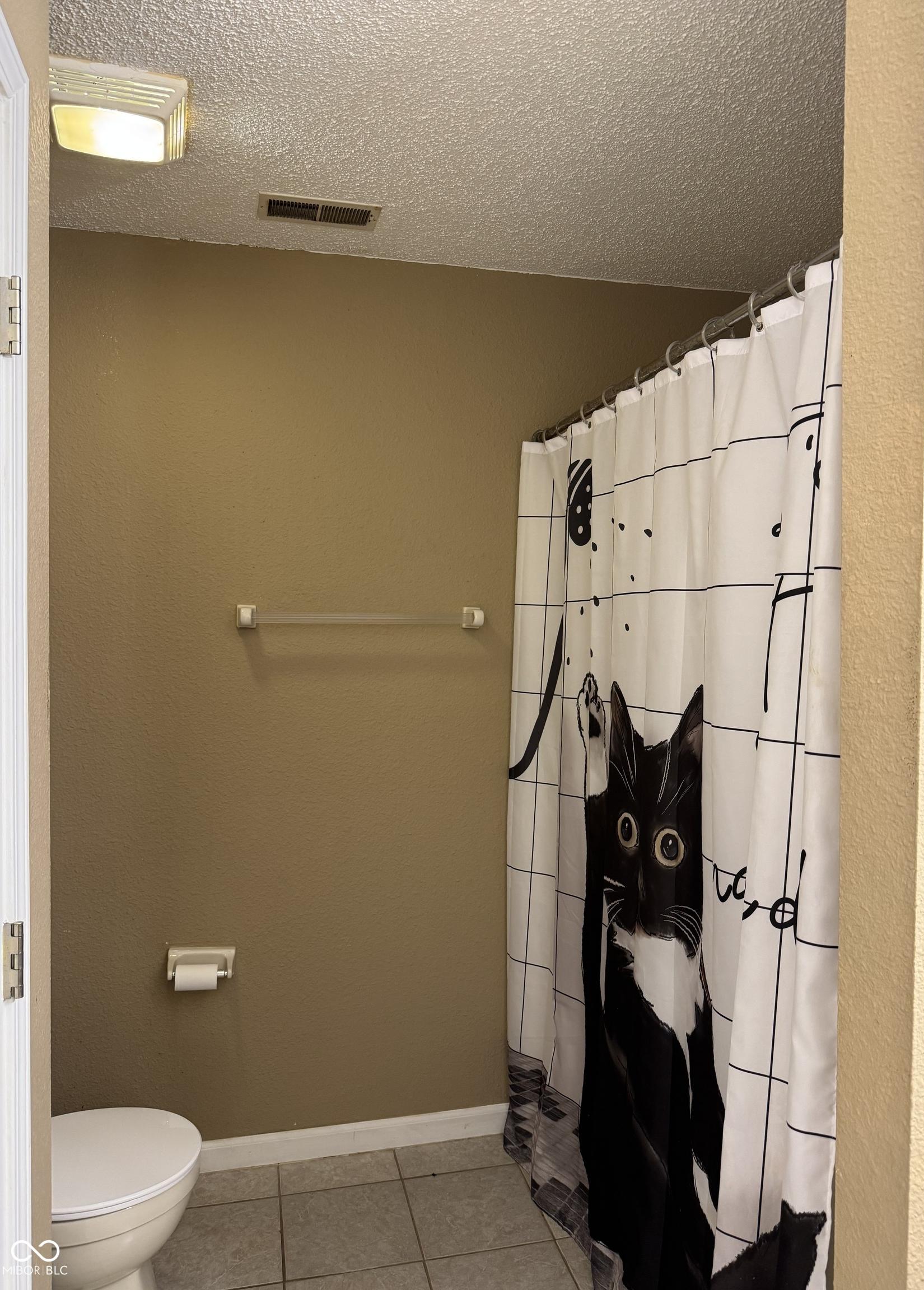 Photo #11