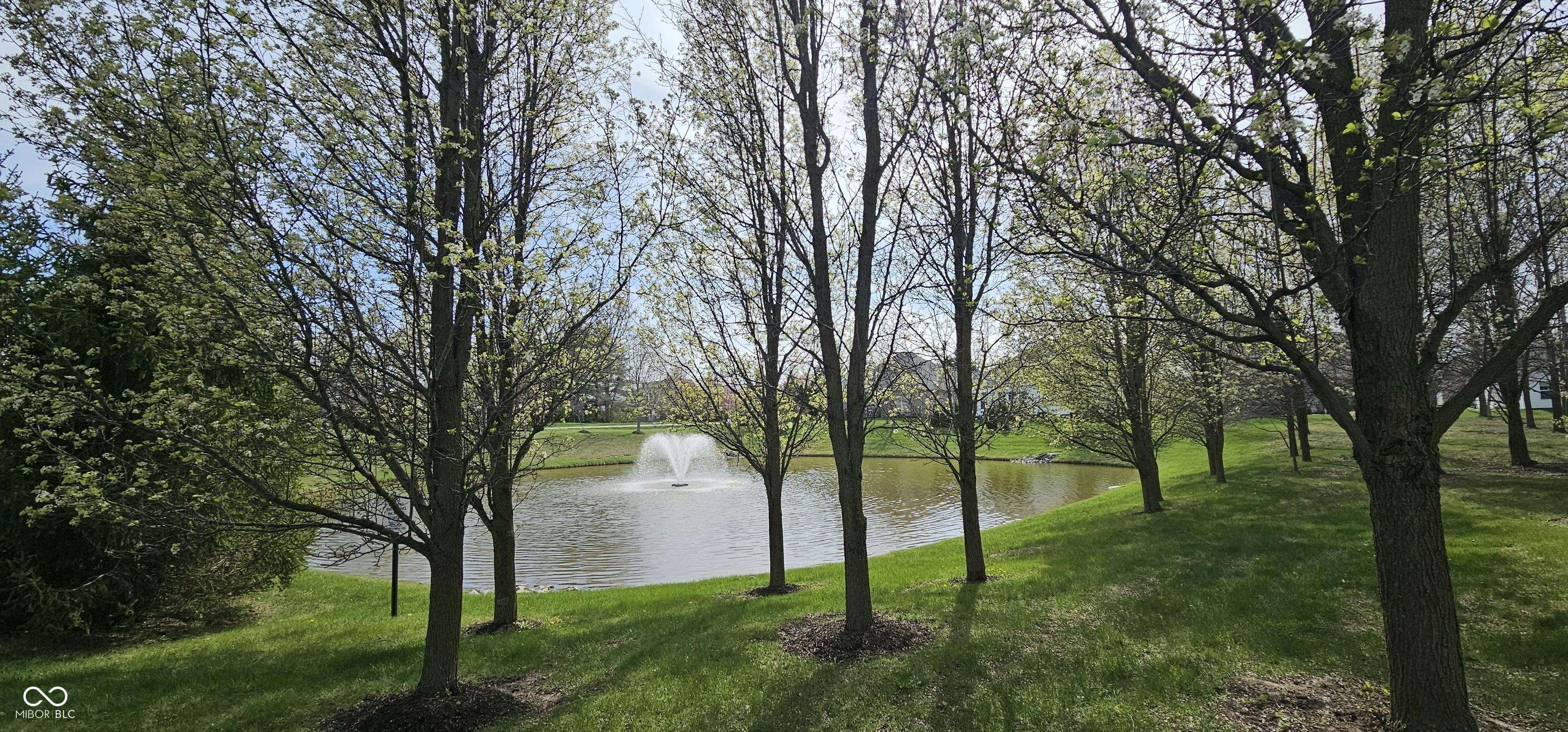 Photo #27