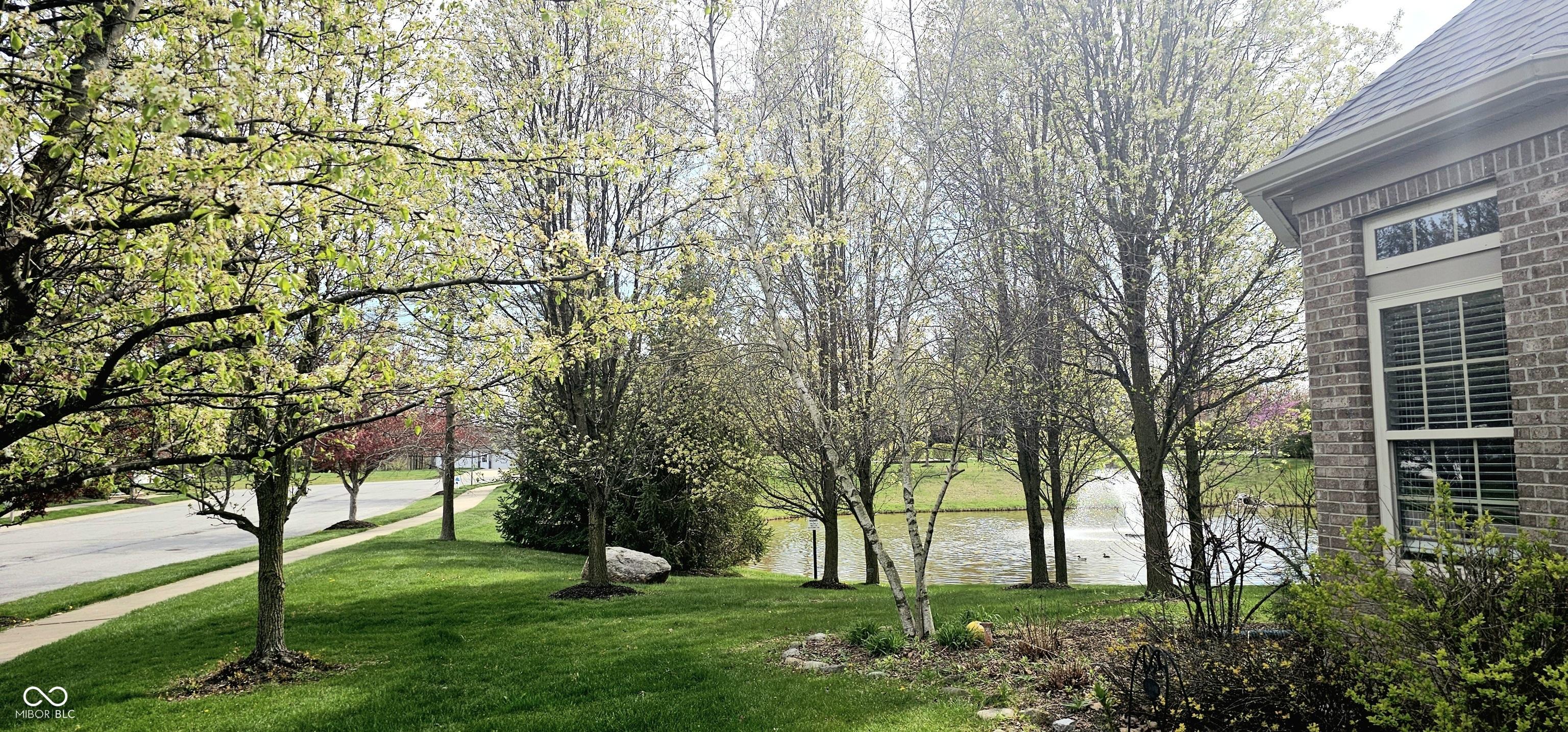 Photo #28