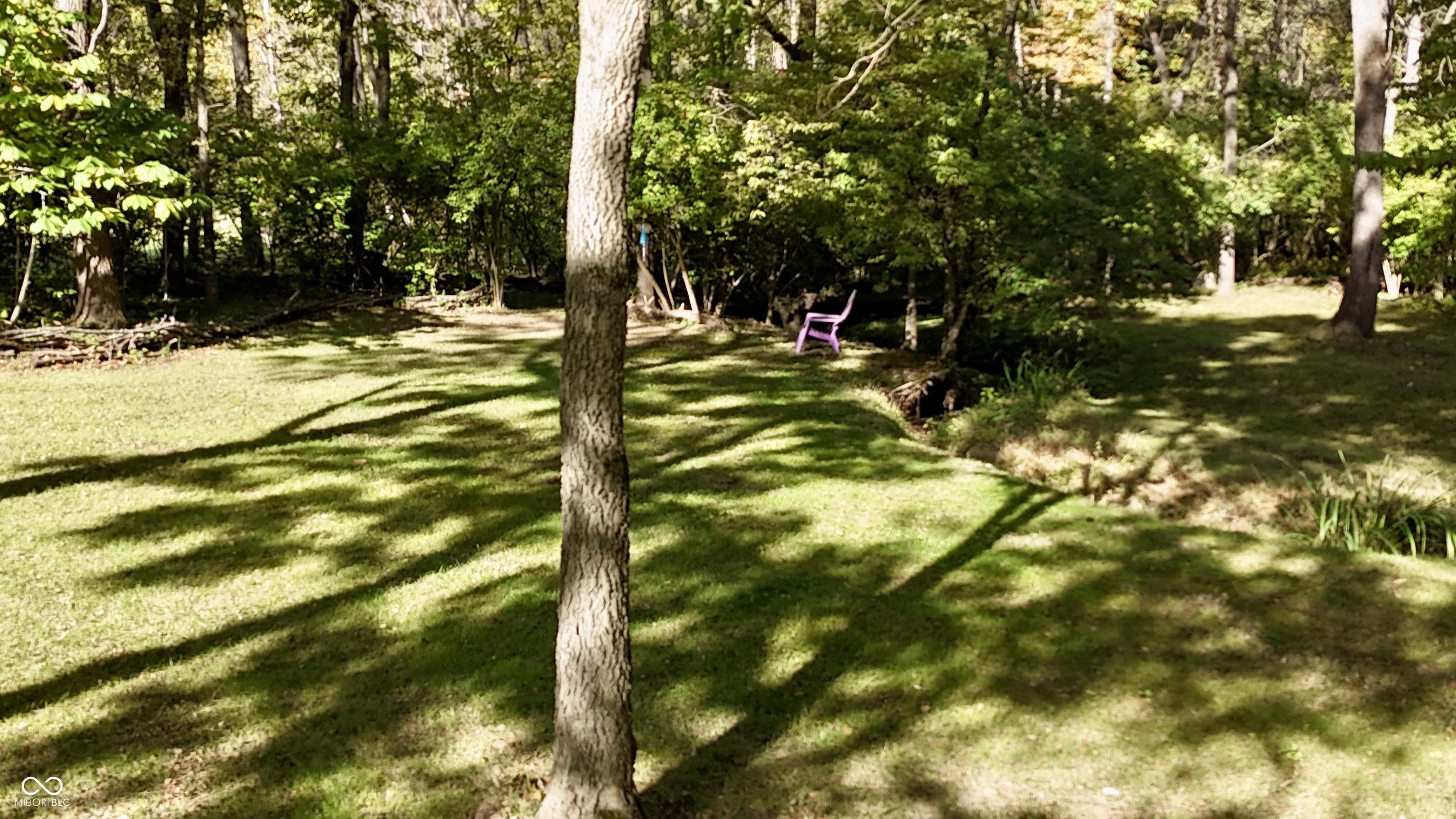 Photo #91