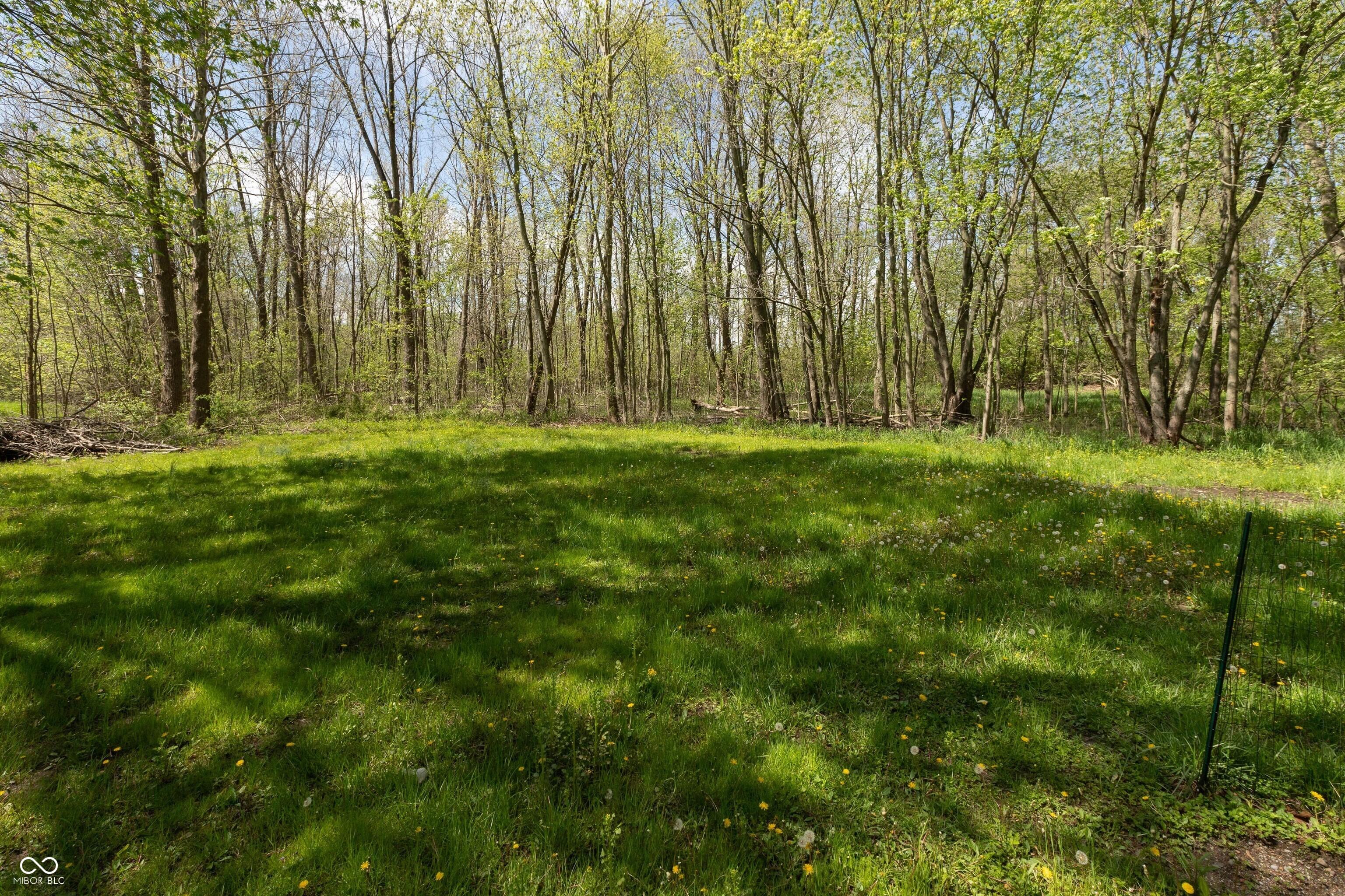 Photo #32