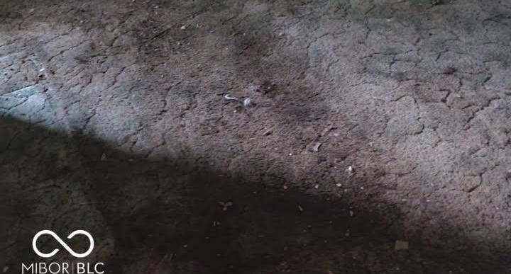 Photo #16