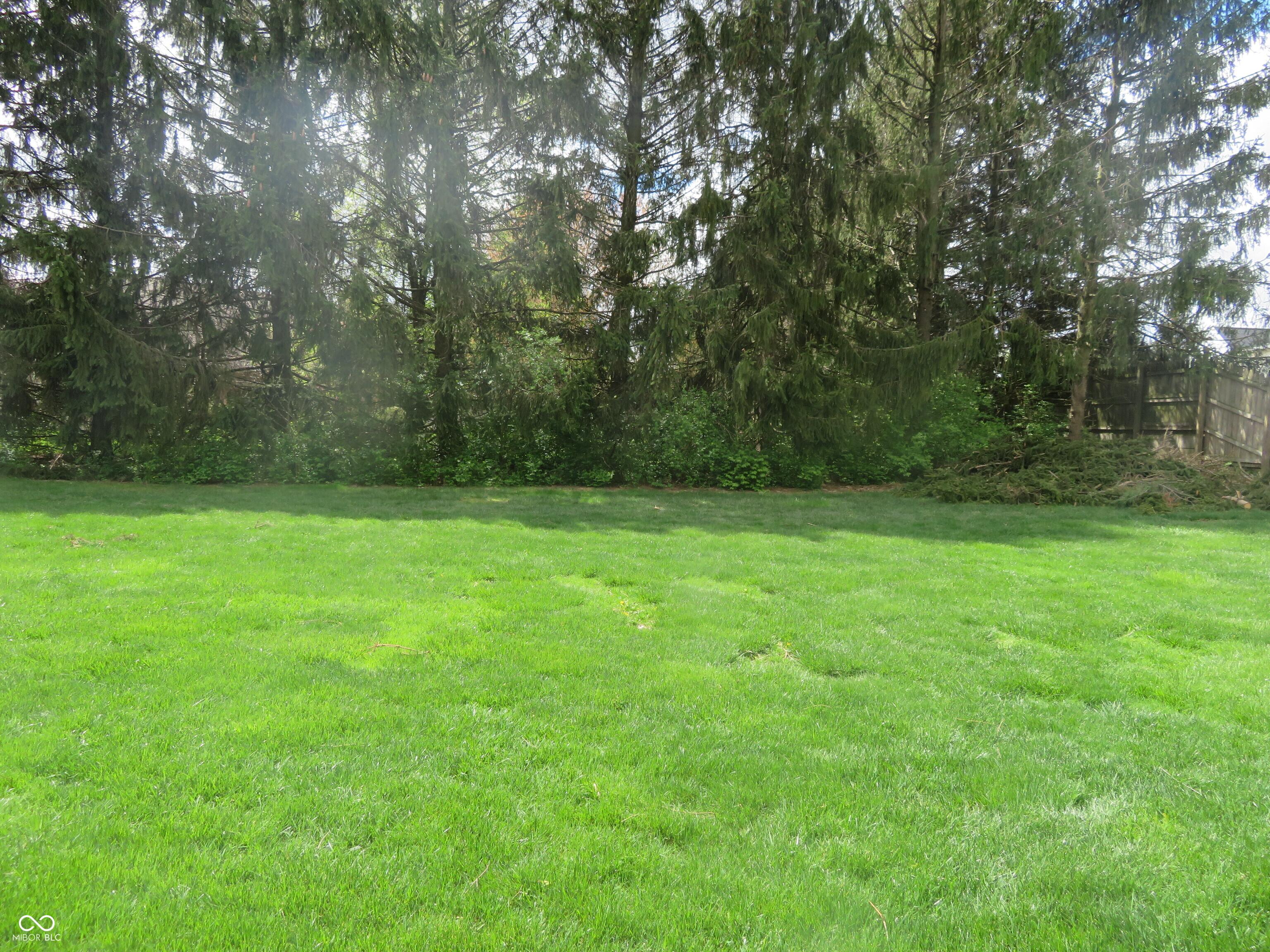 Photo #9