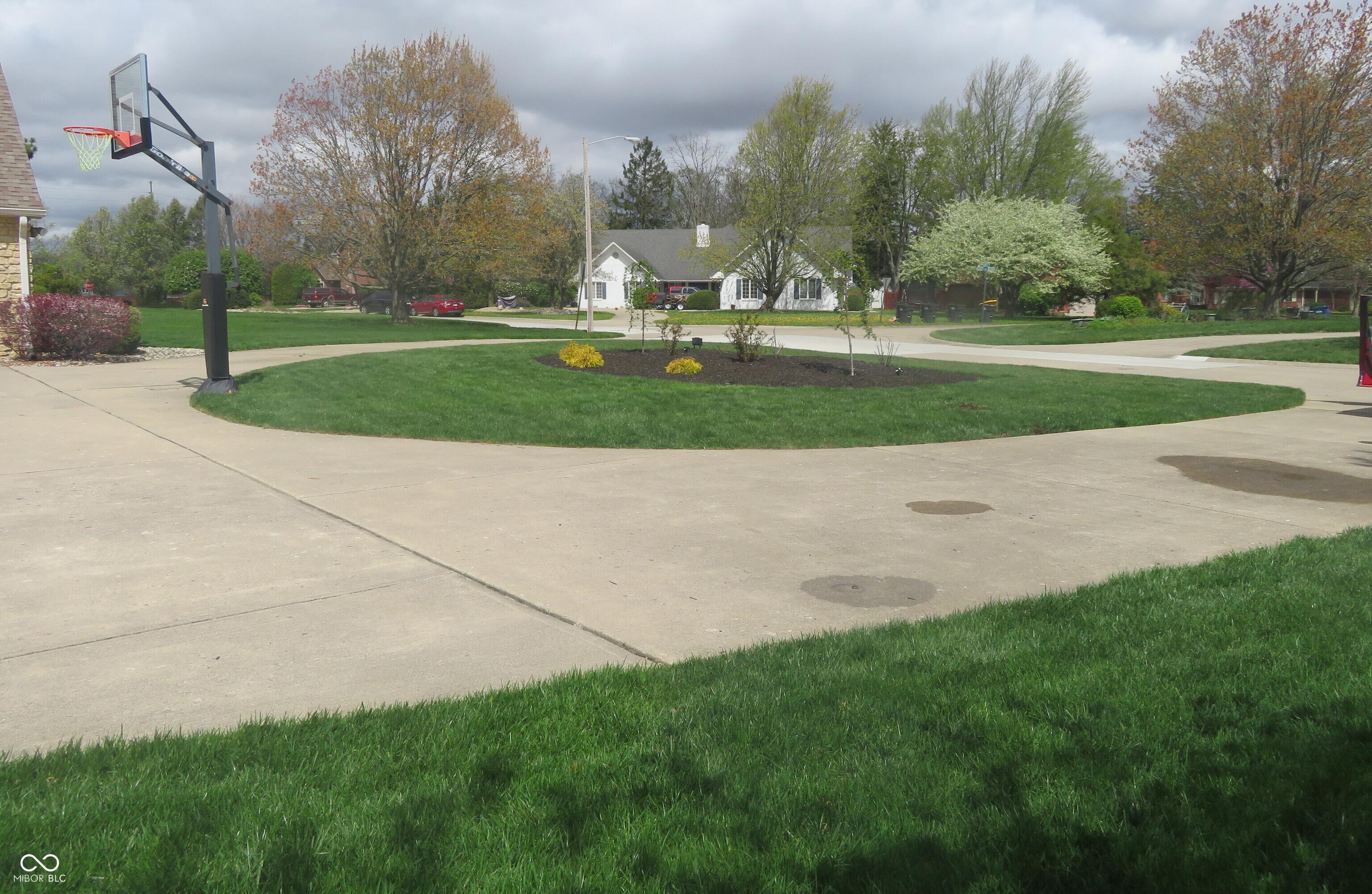 Photo #4
