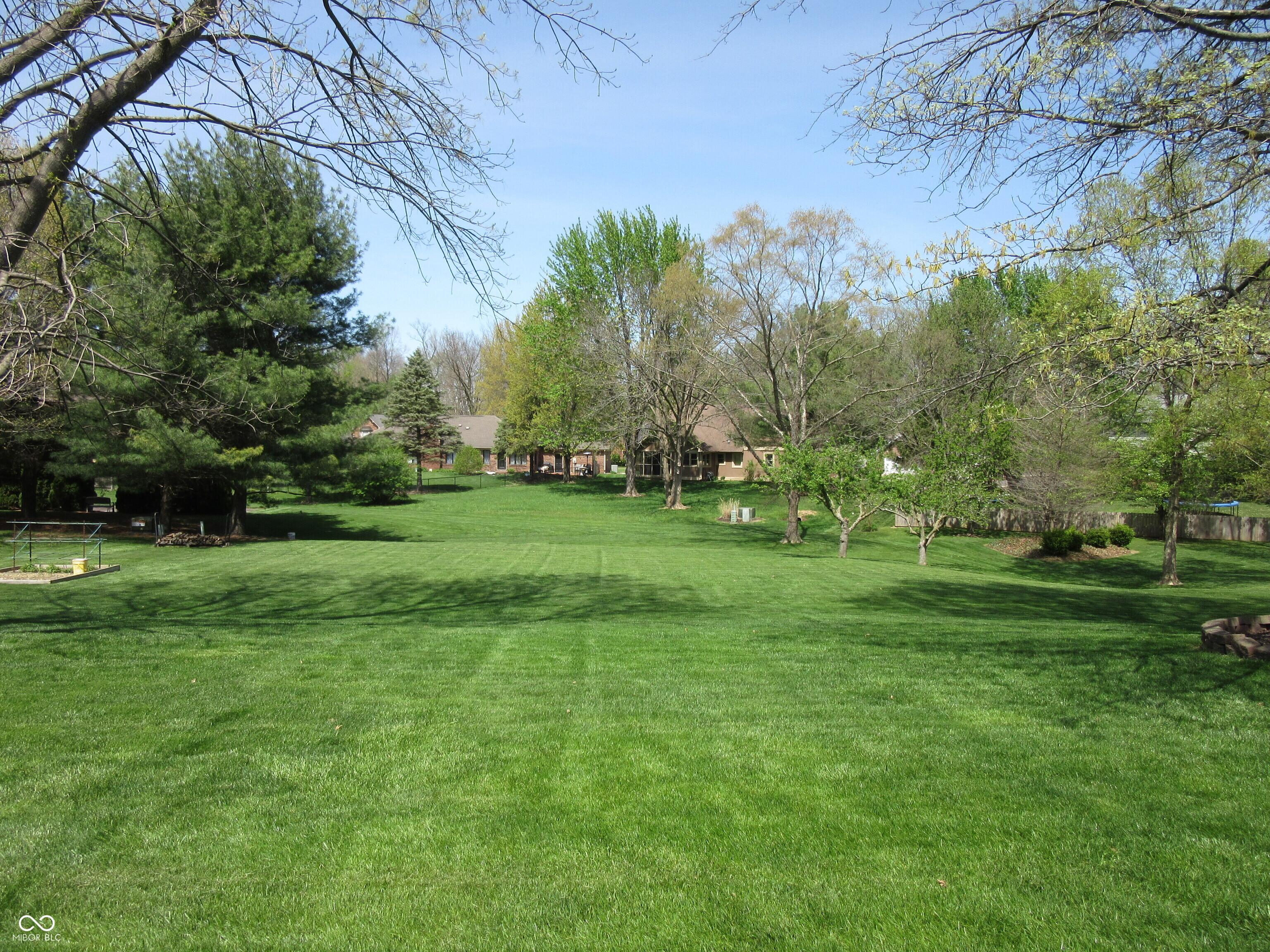 Photo #4