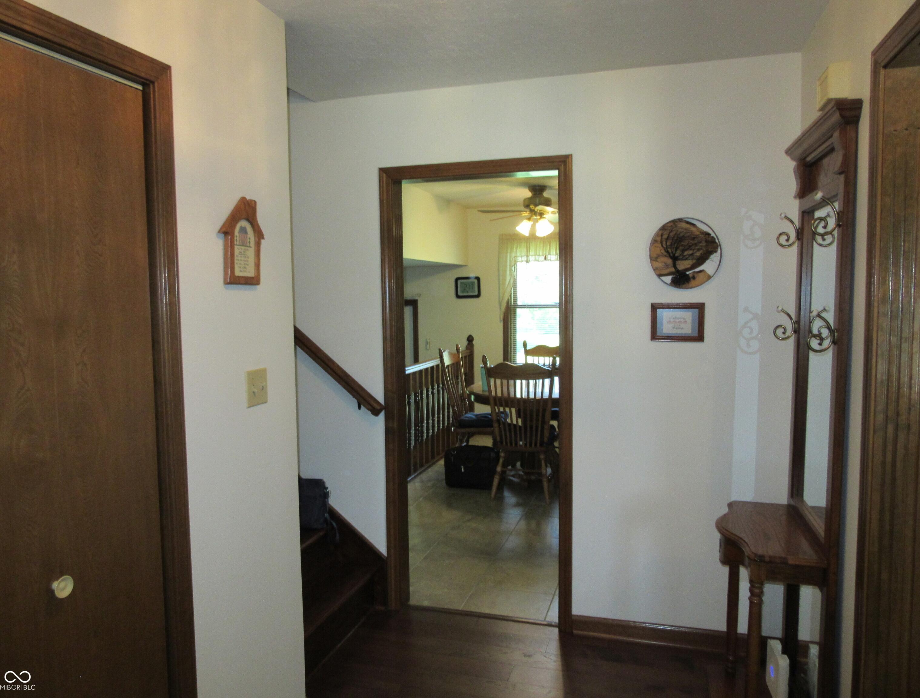 Photo #11