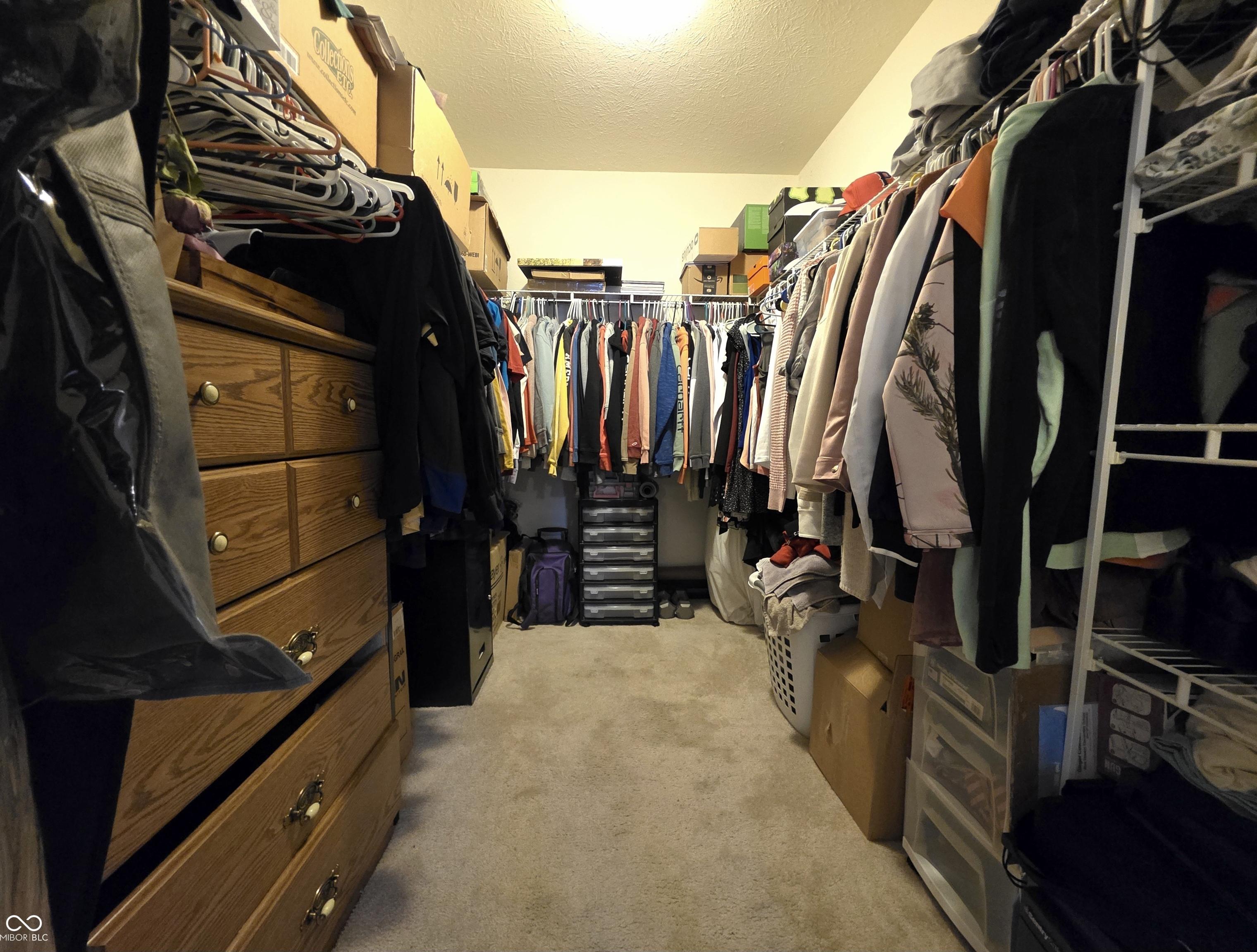 Photo #16