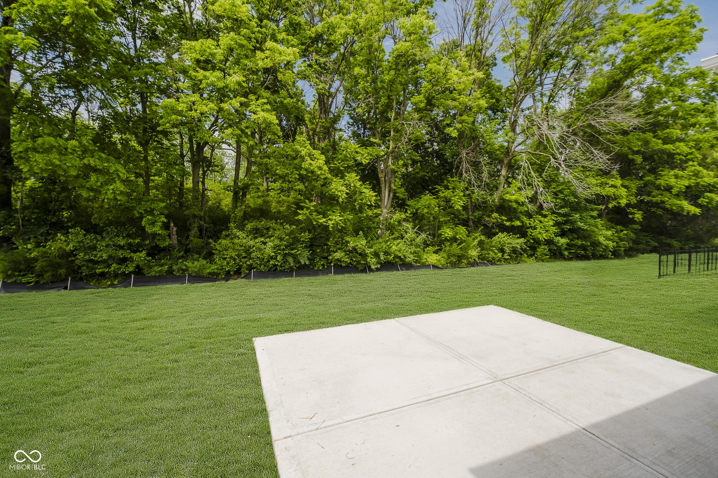 Photo #31