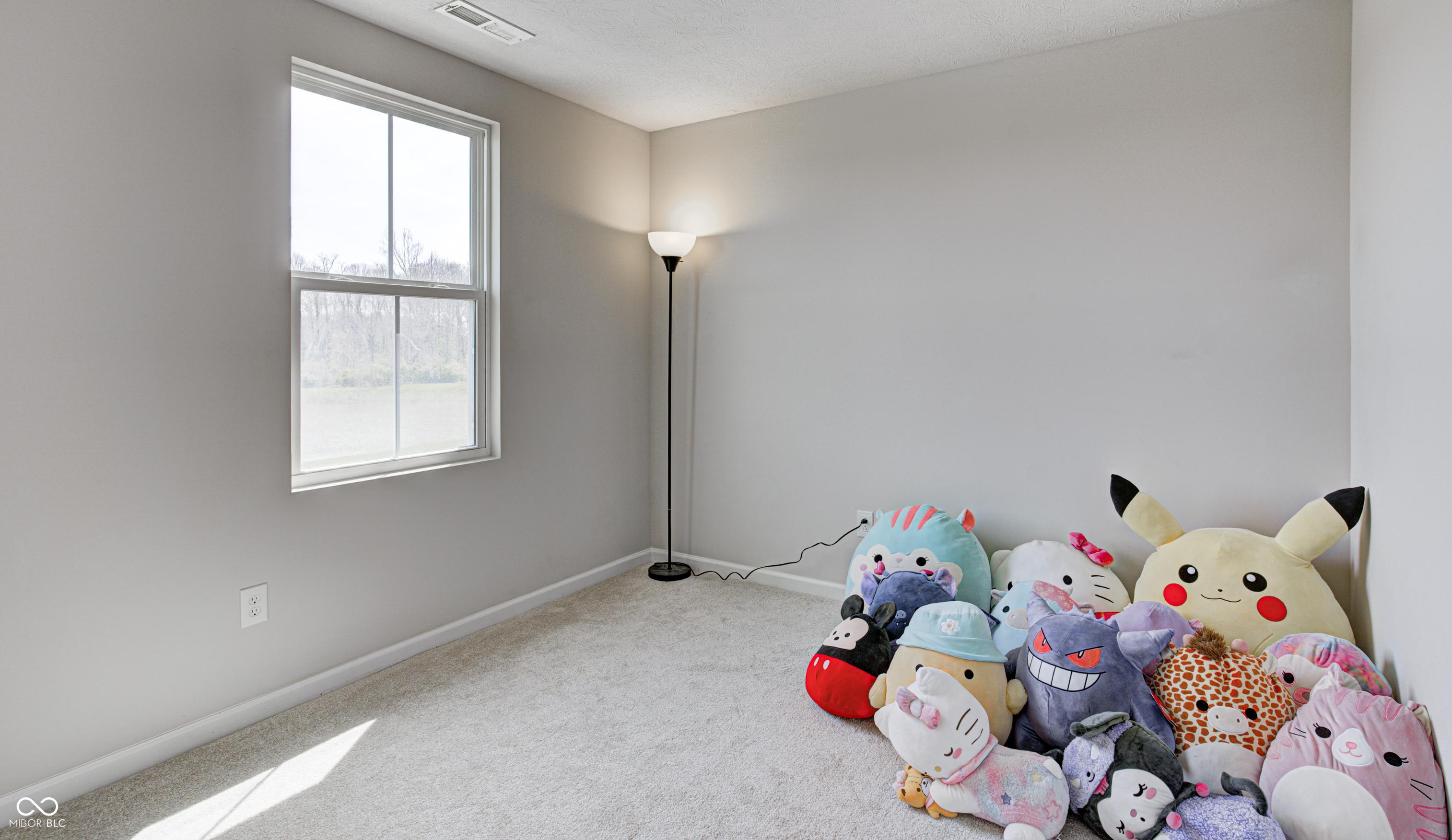 Photo #15