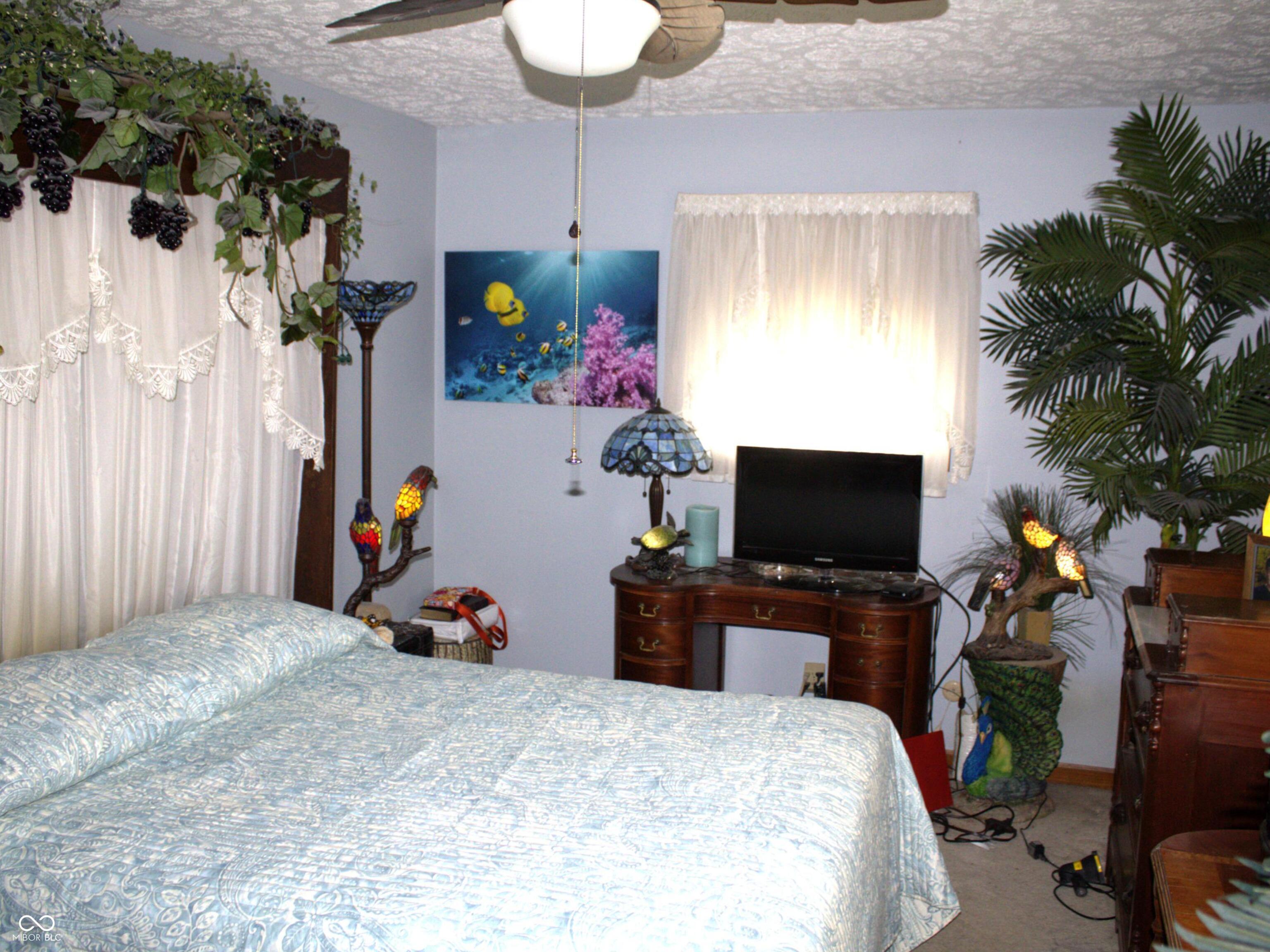 Photo #12