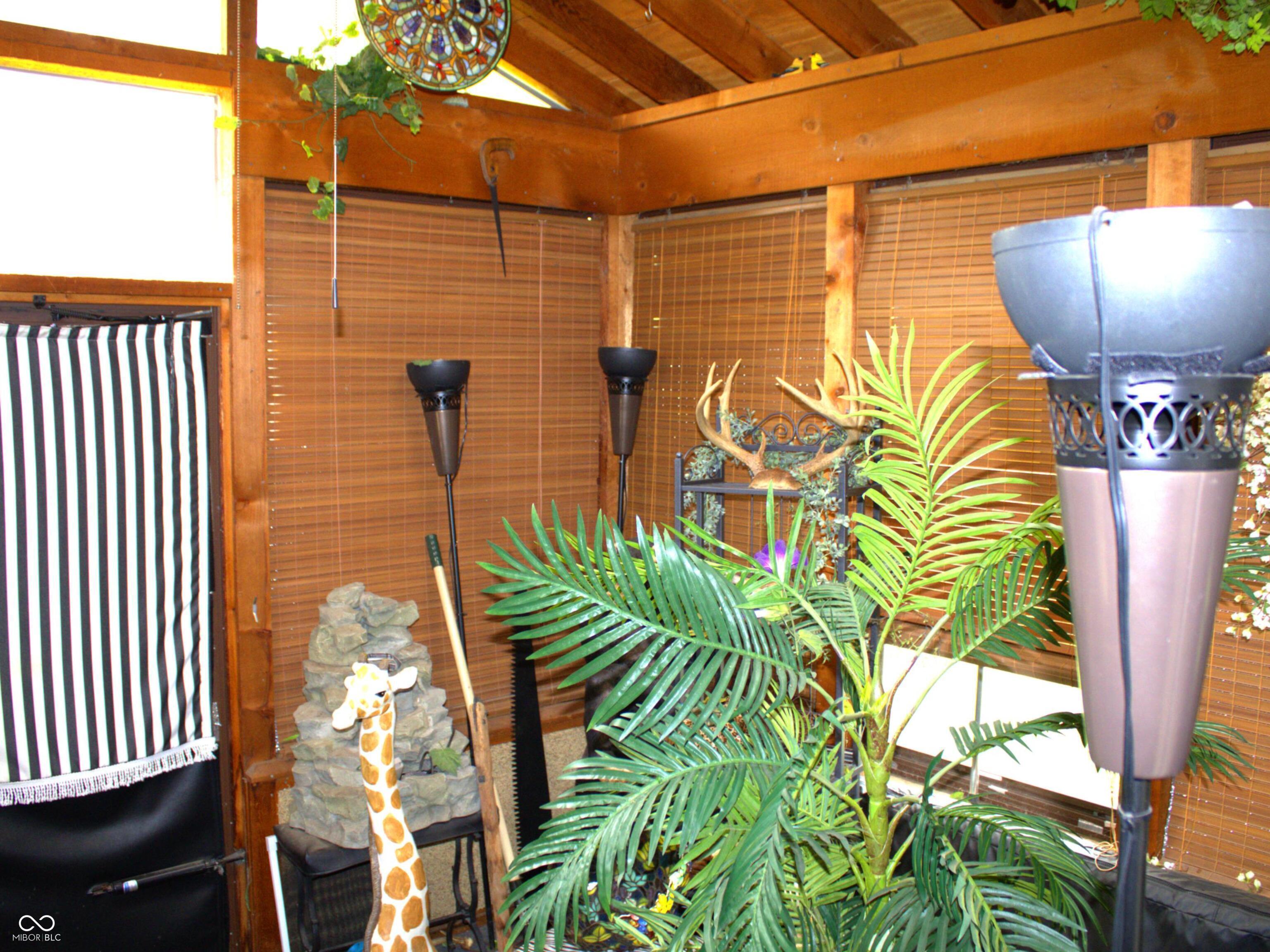Photo #9