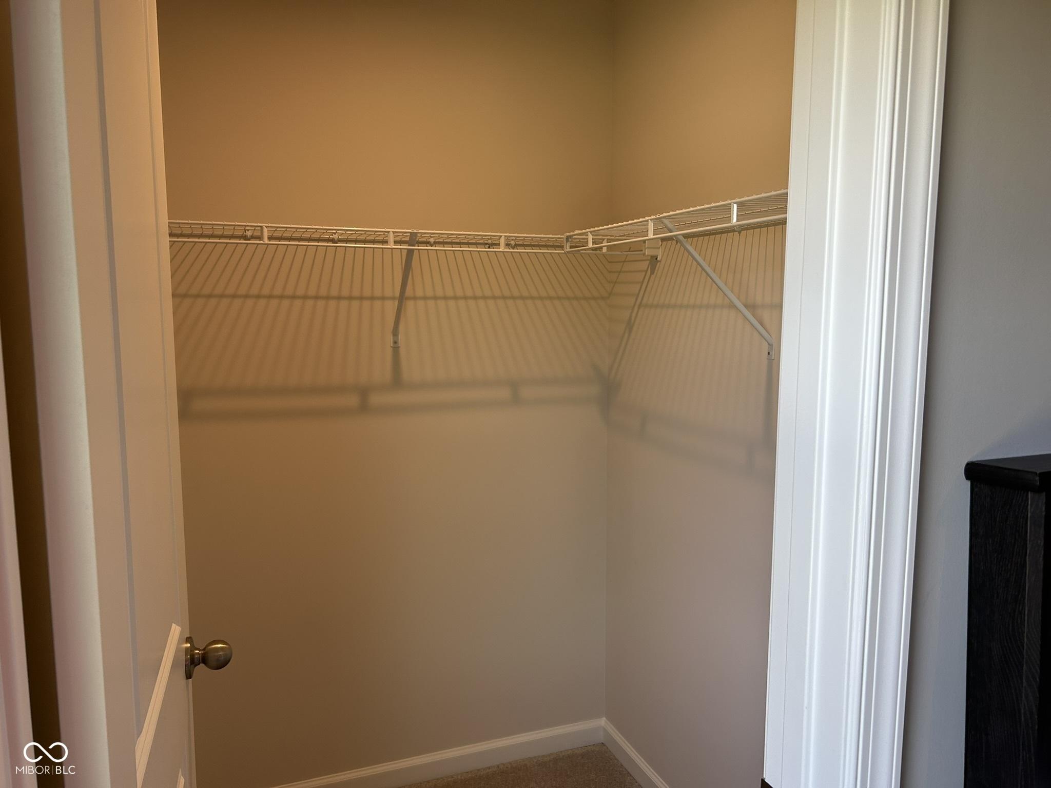 Photo #43