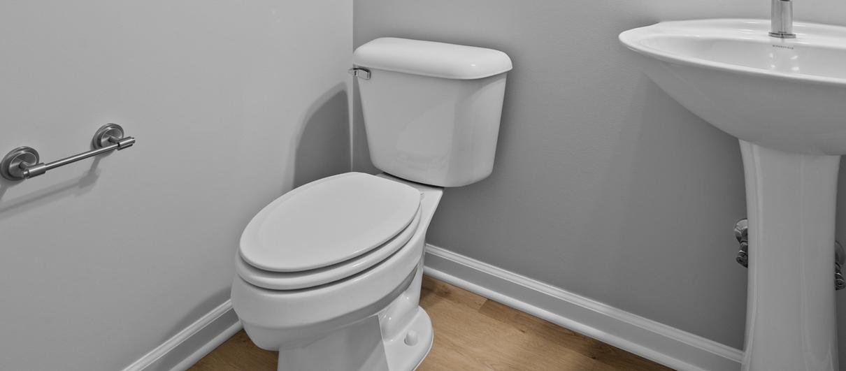 Photo #7