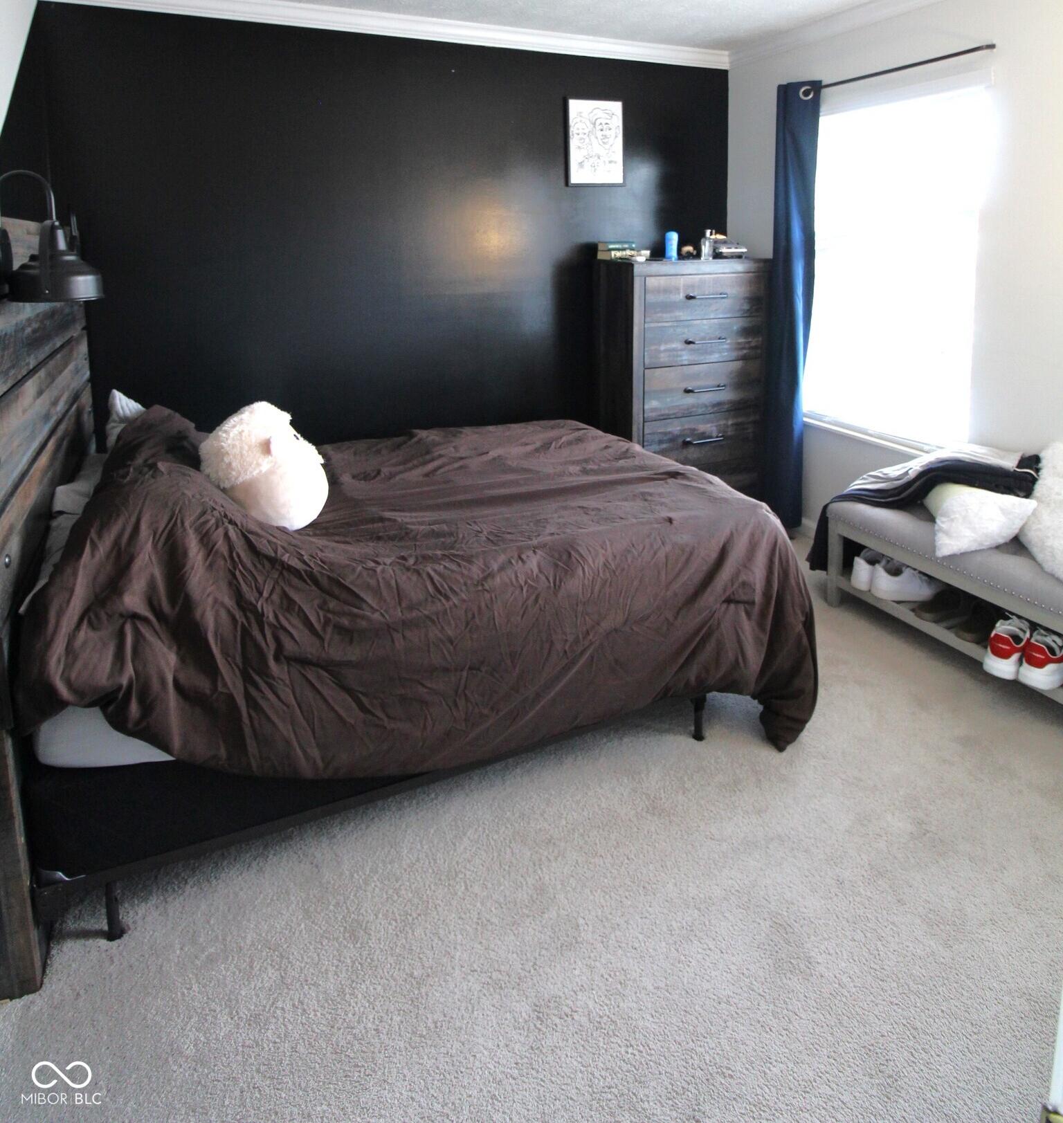 Photo #24