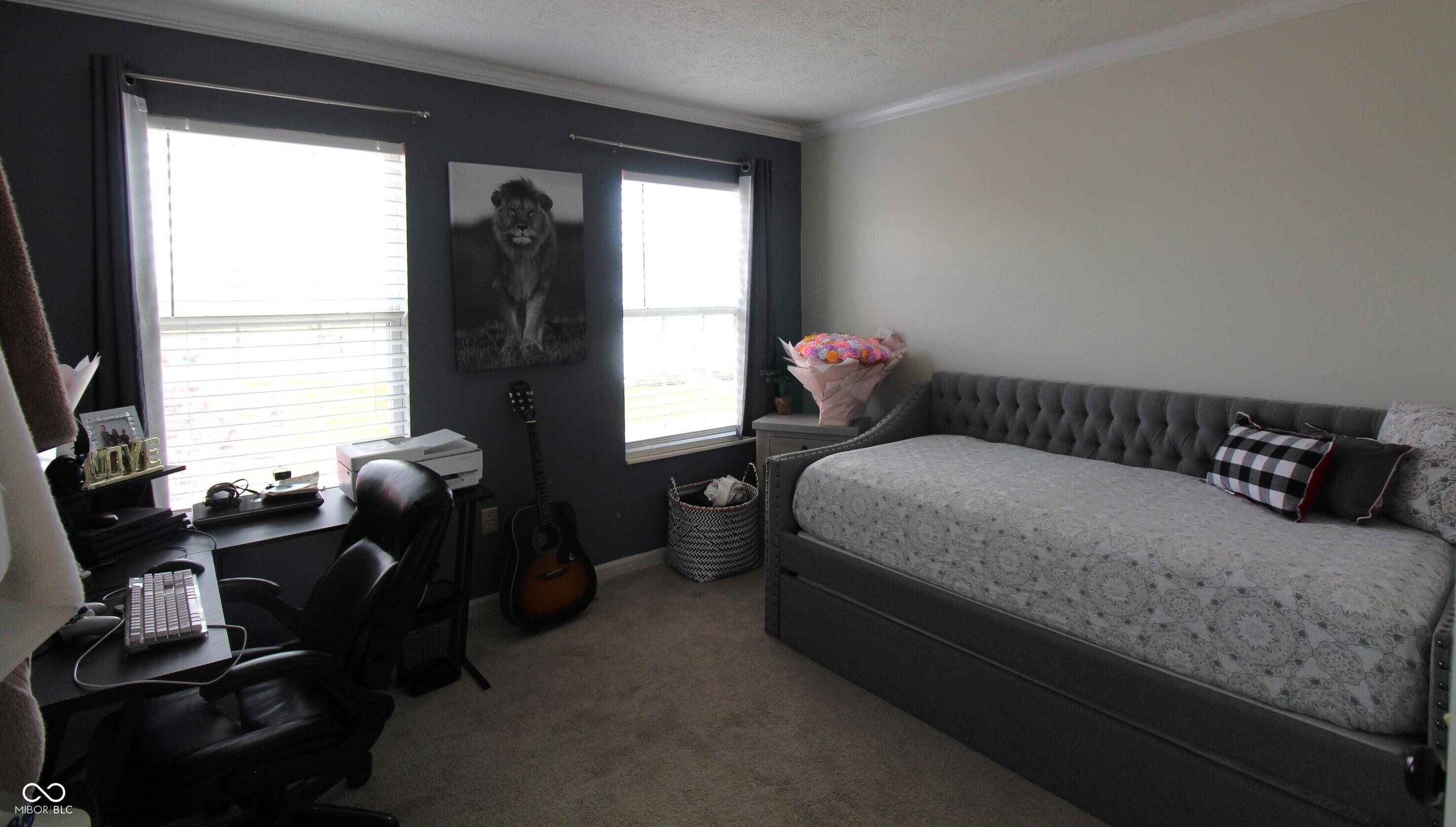 Photo #22