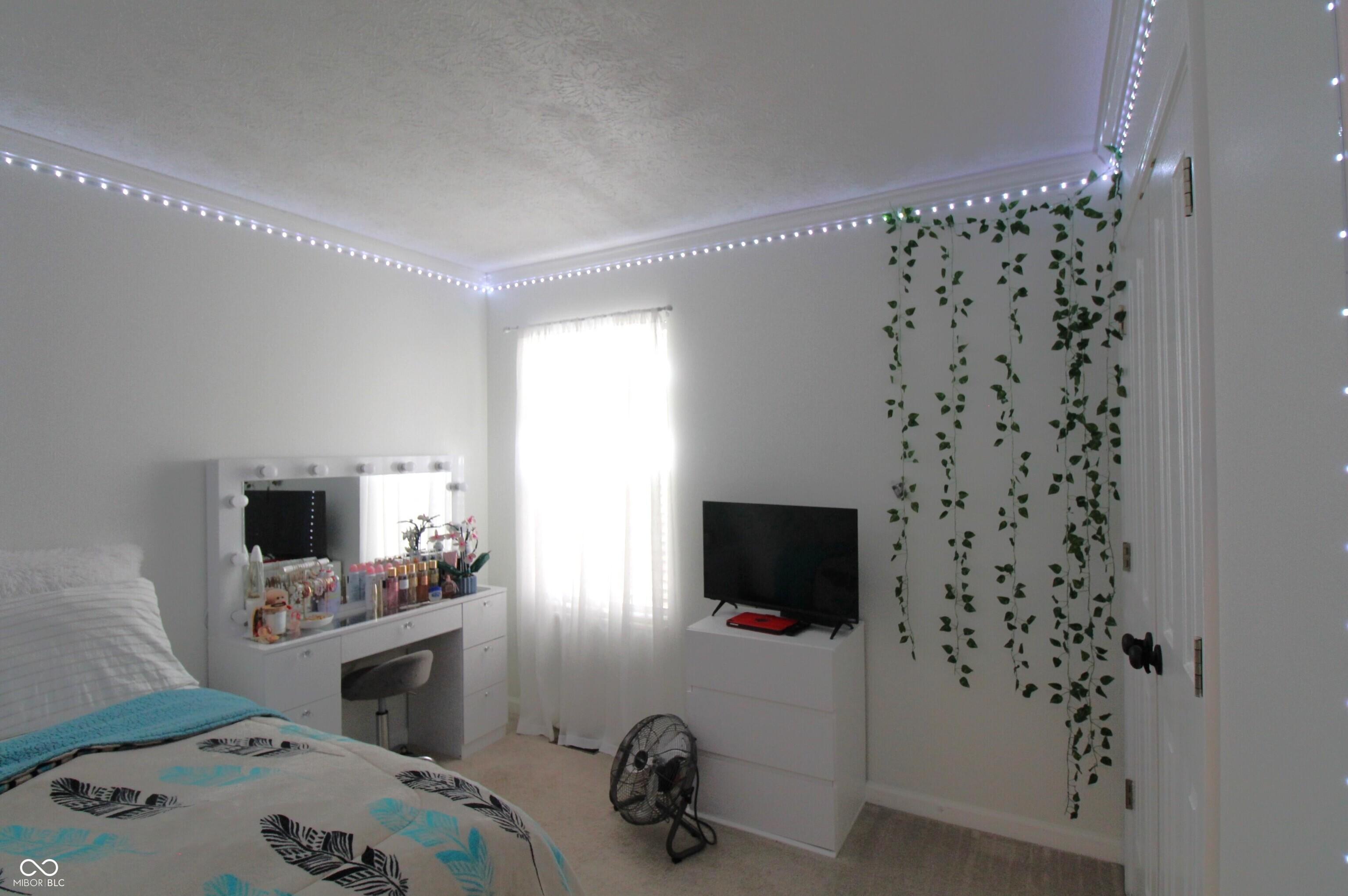 Photo #28