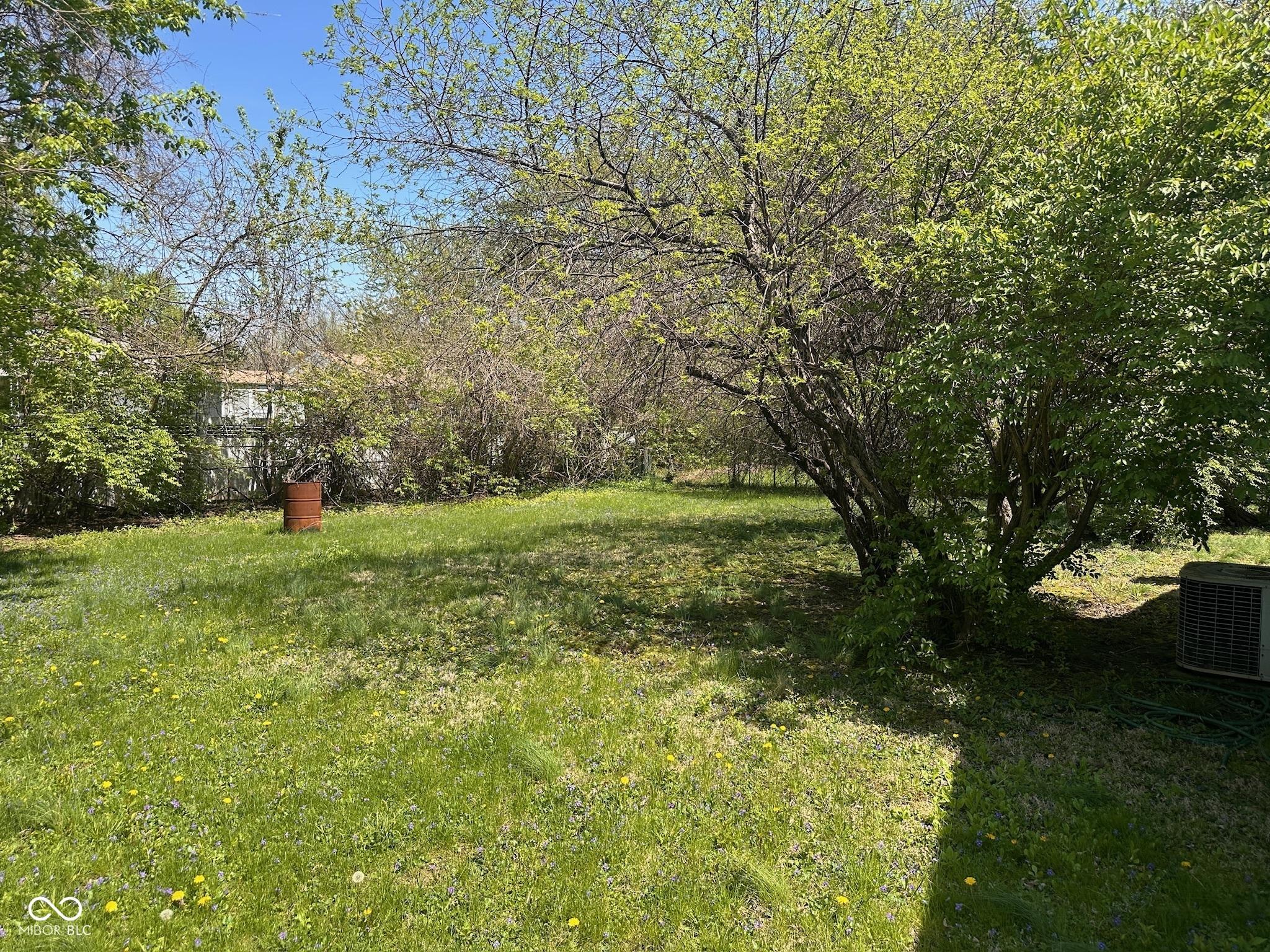 Photo #17