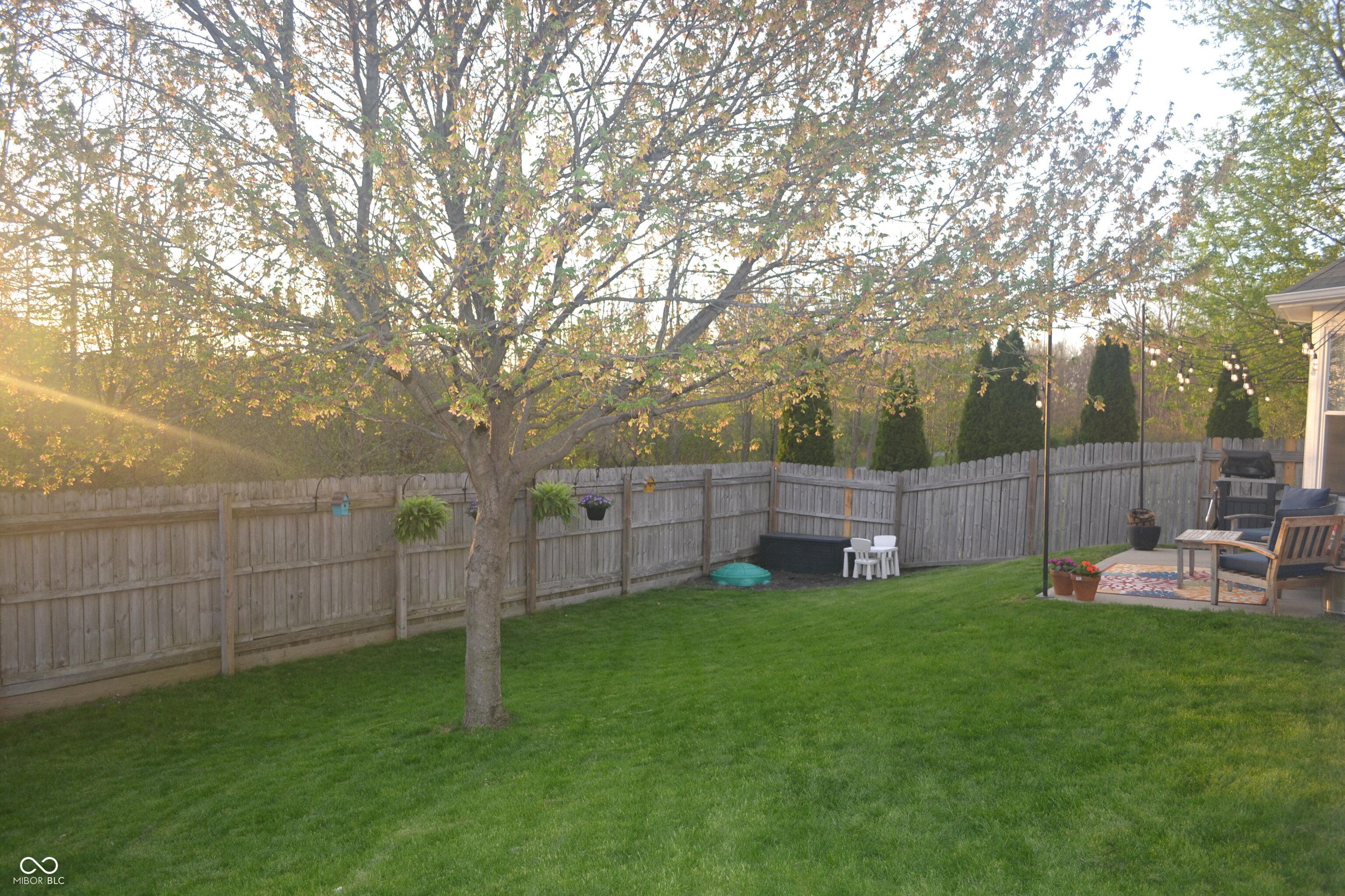 Photo #2