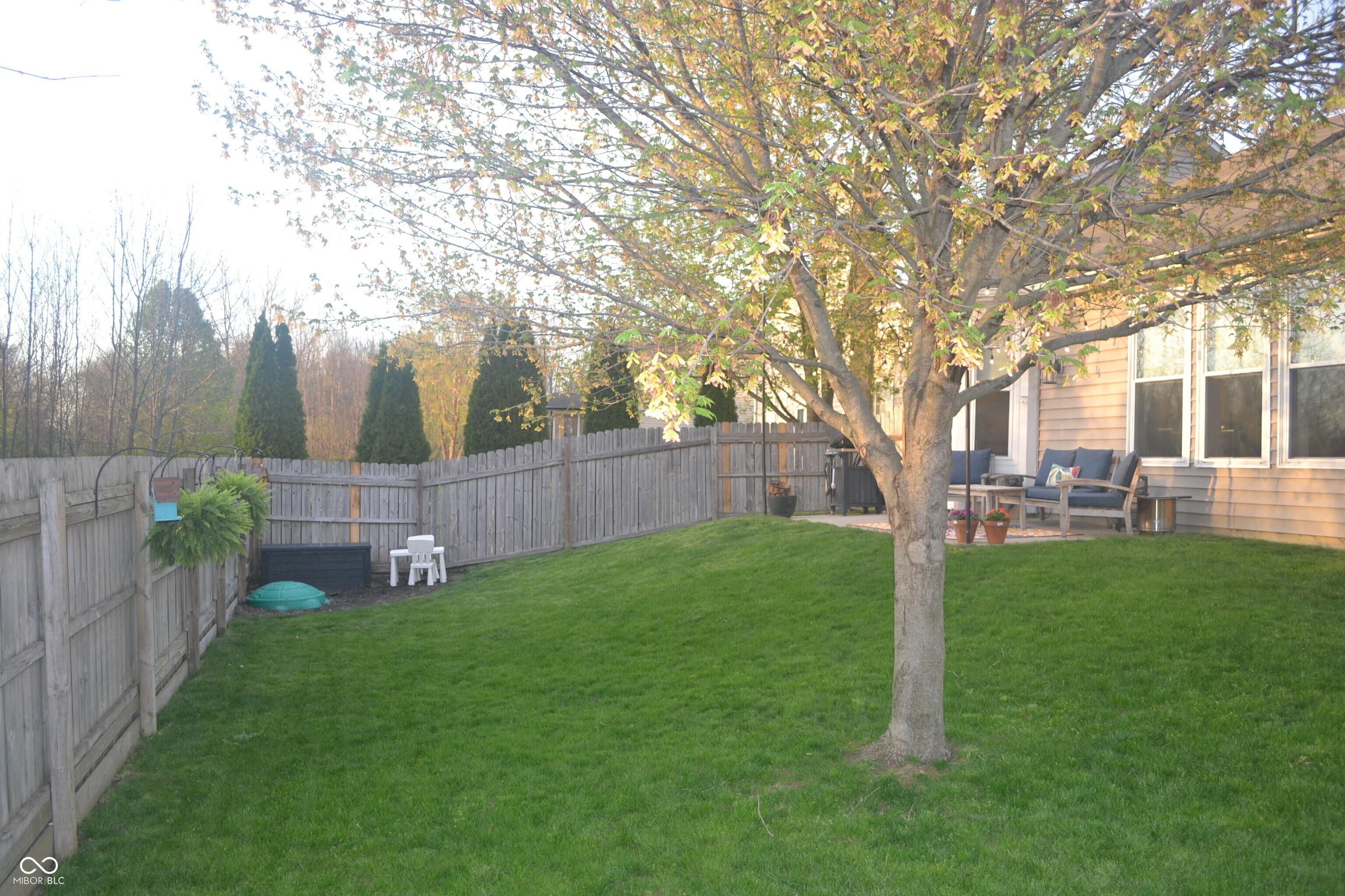 Photo #32