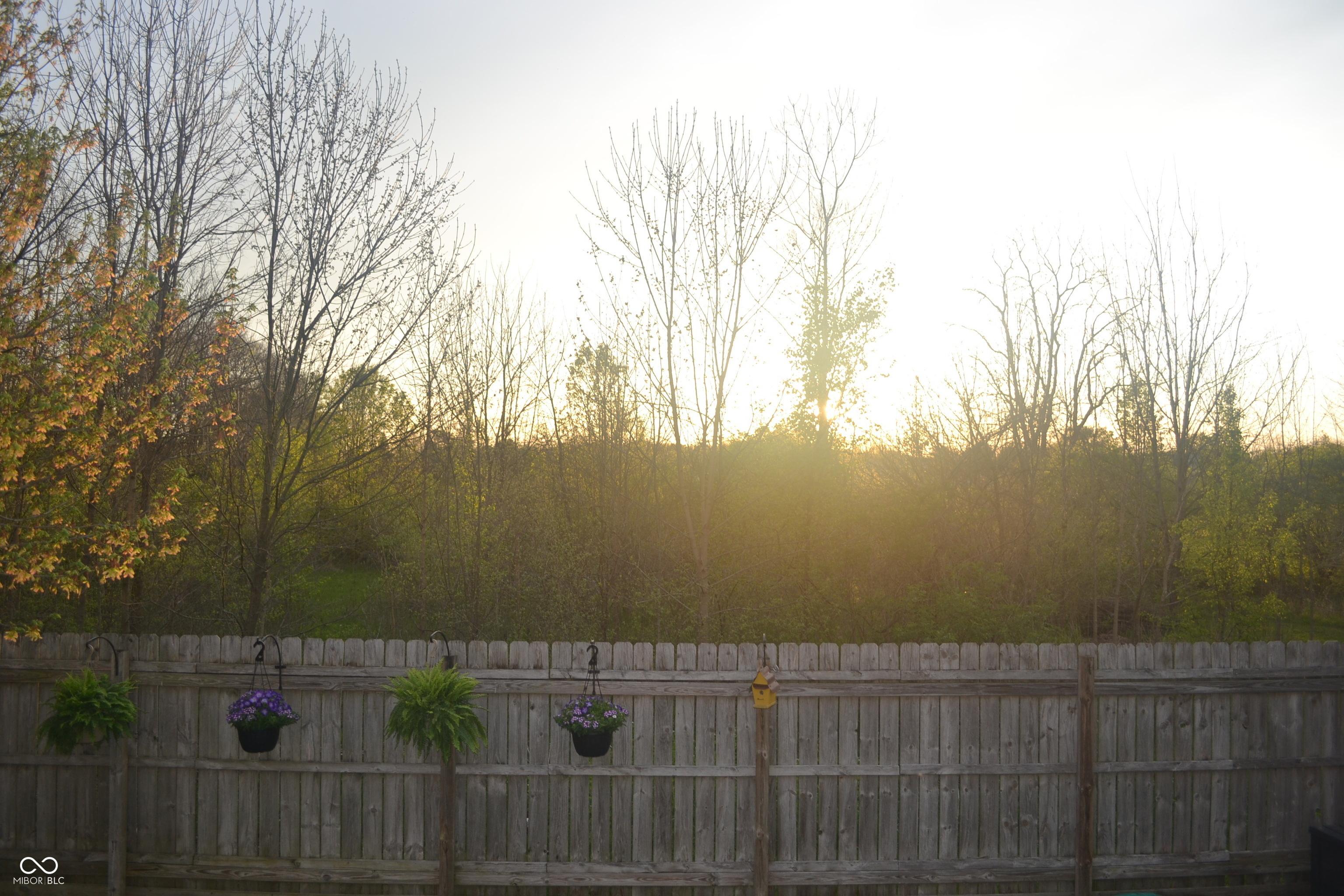 Photo #34