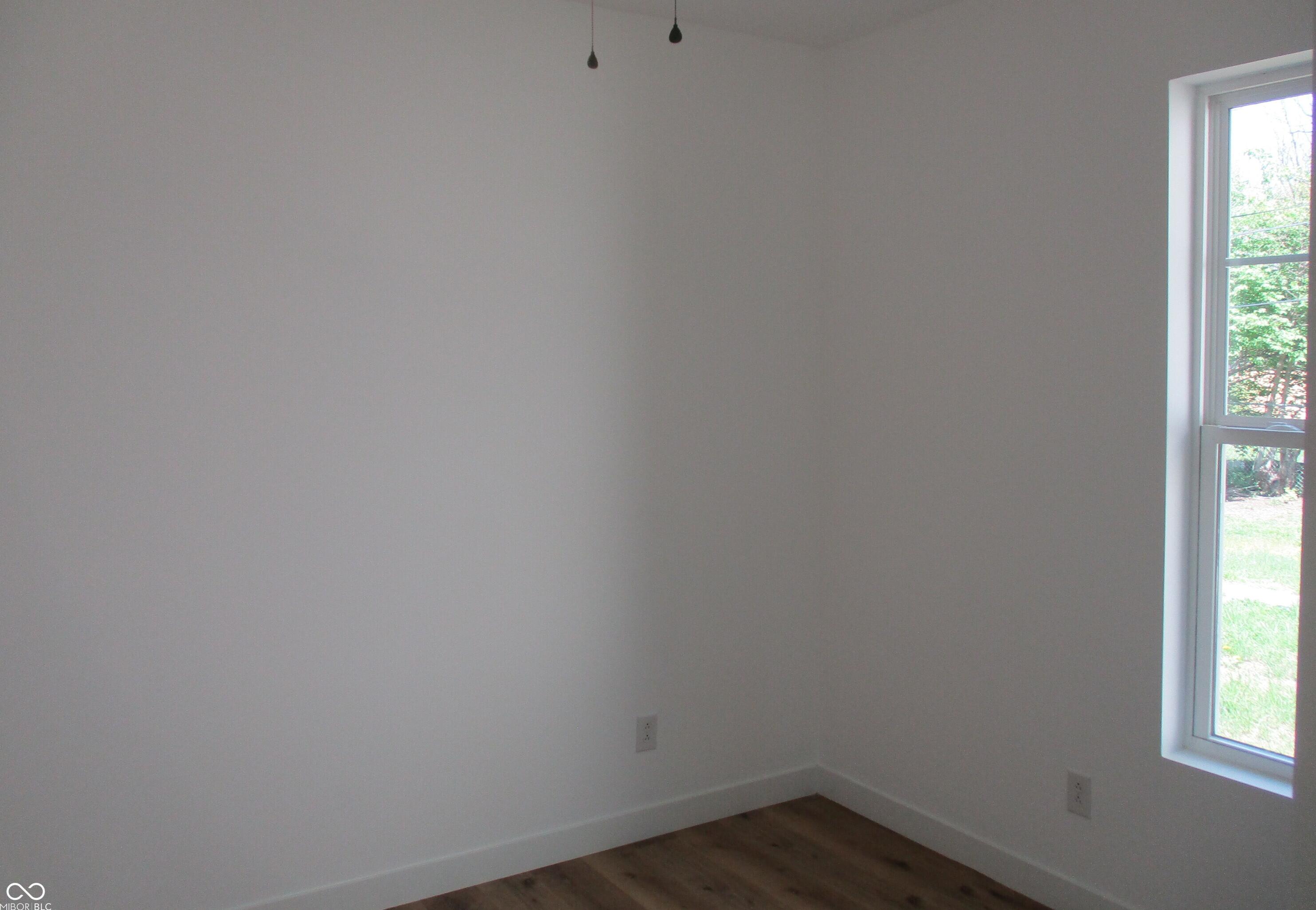 Photo #11