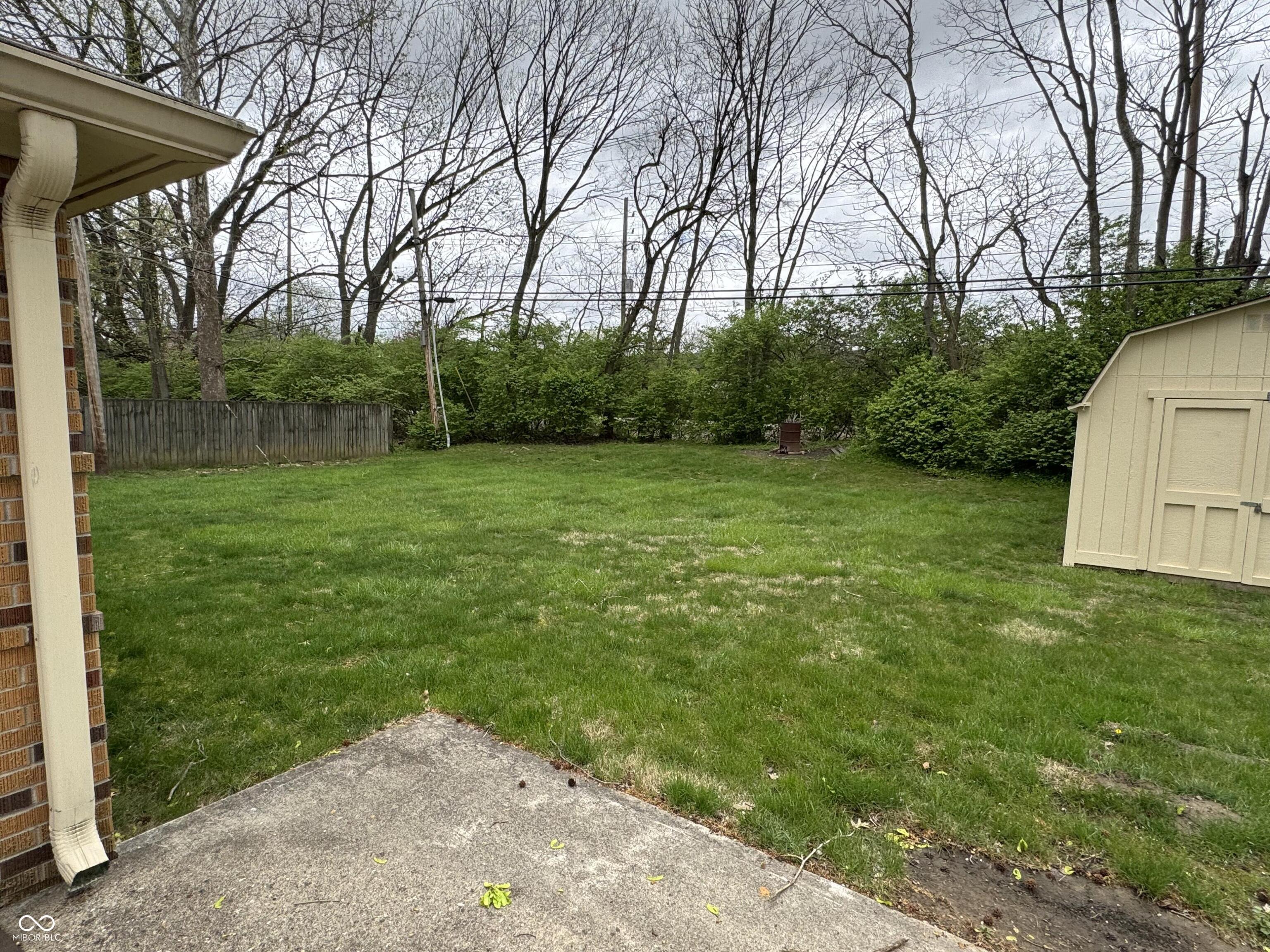 Photo #13