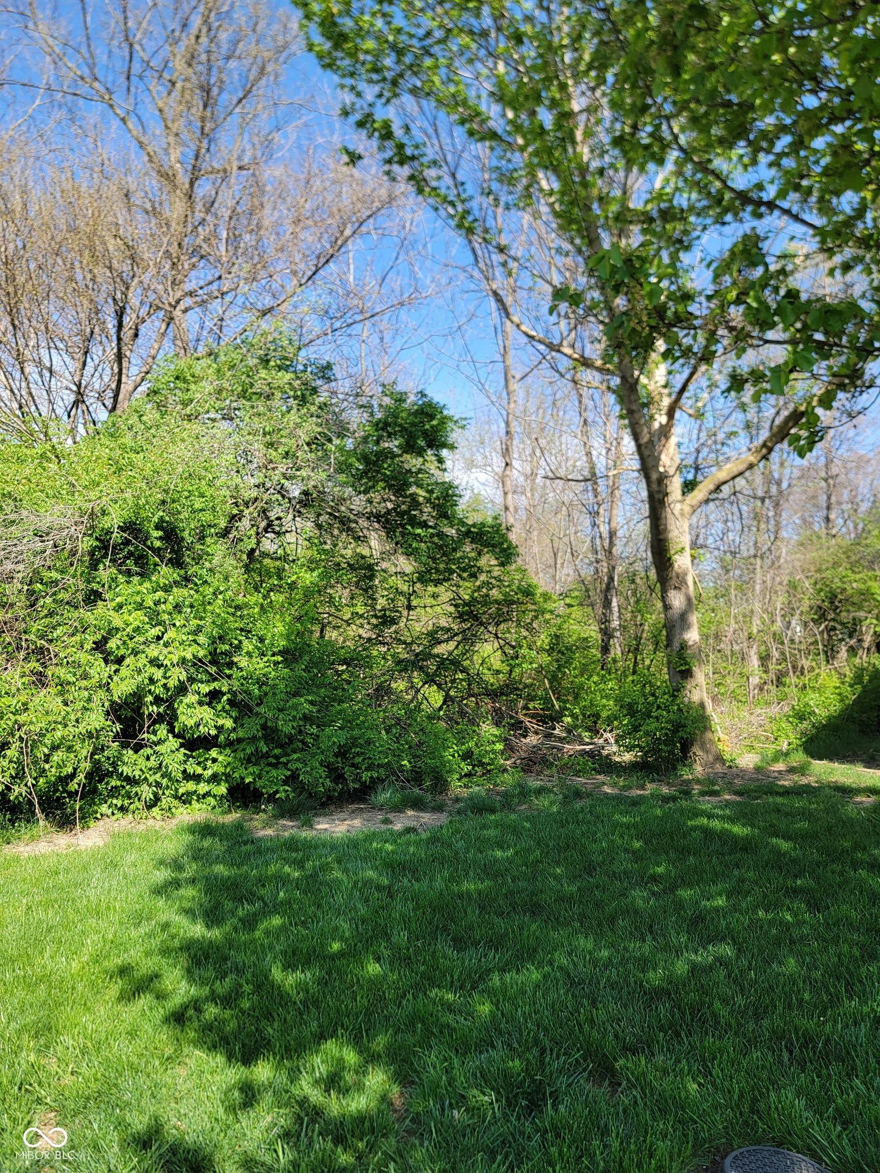Photo #4