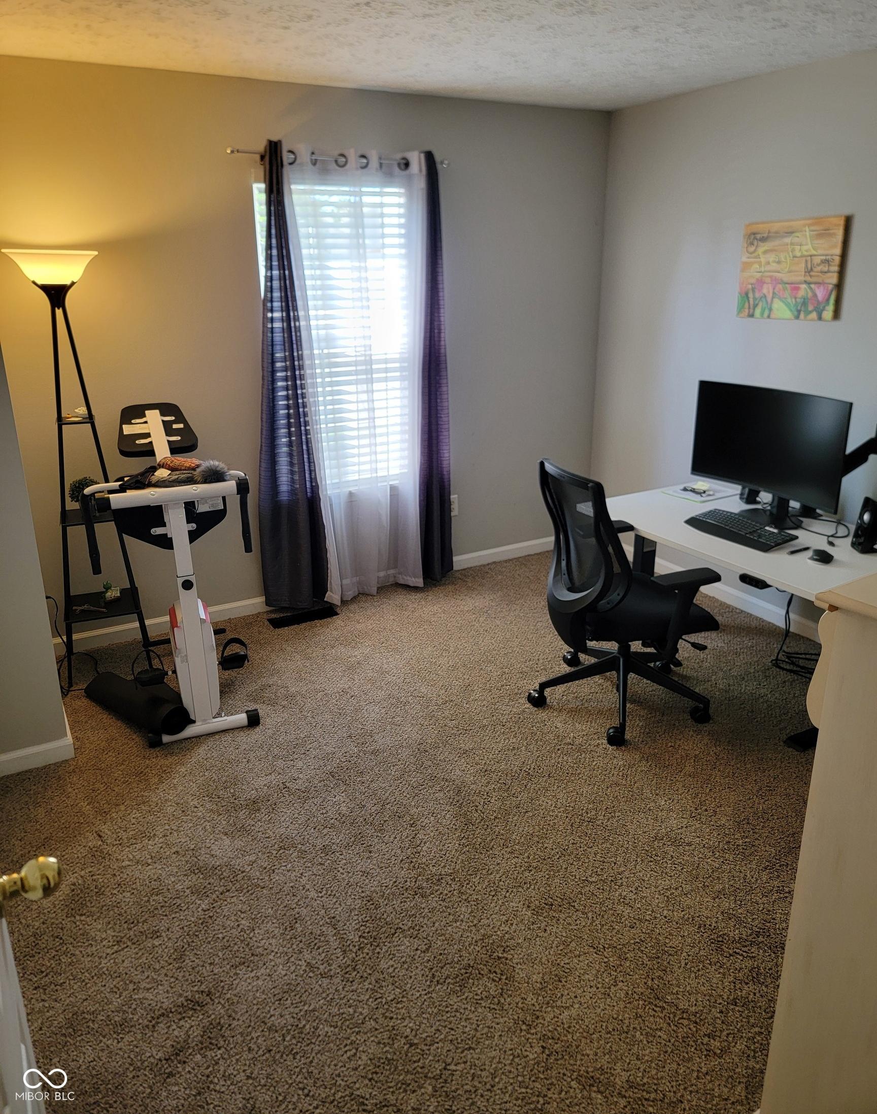 Photo #12