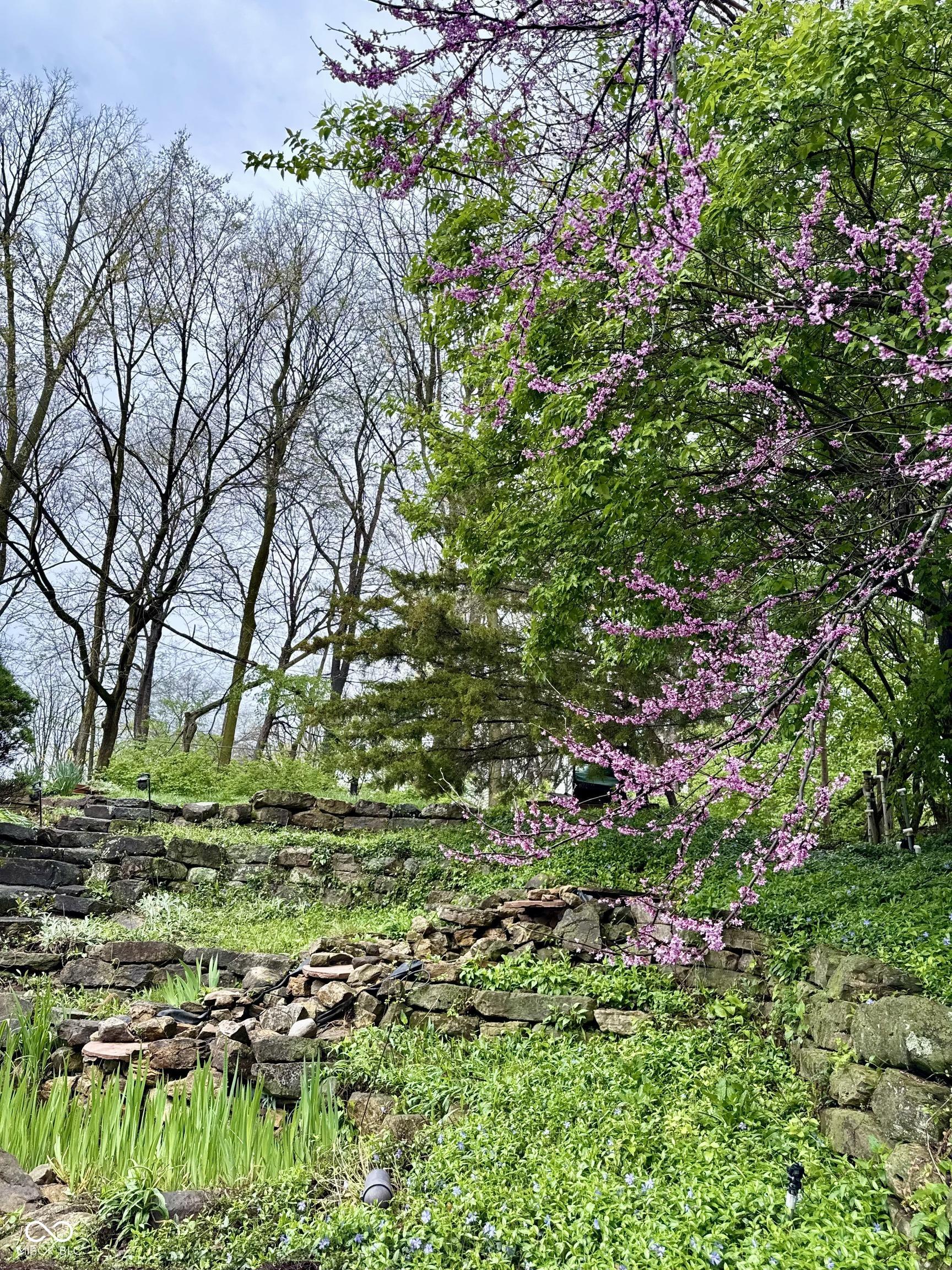 Photo #3