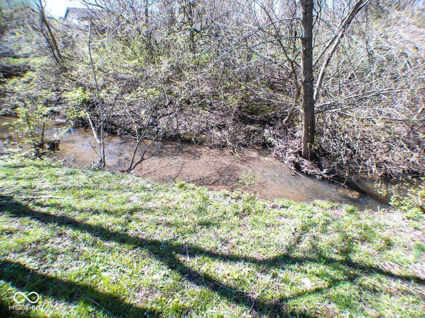 Photo #8