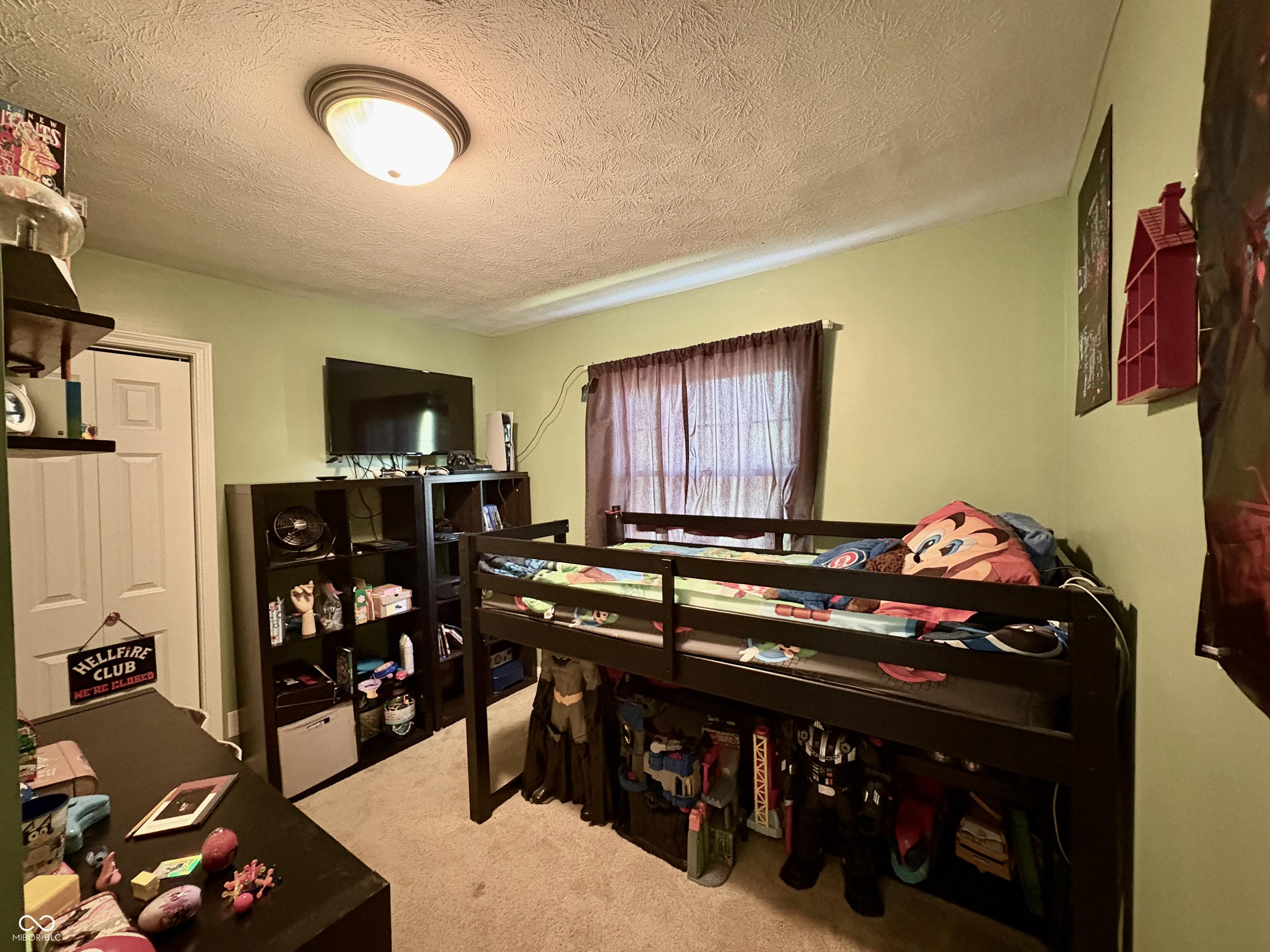 Photo #12