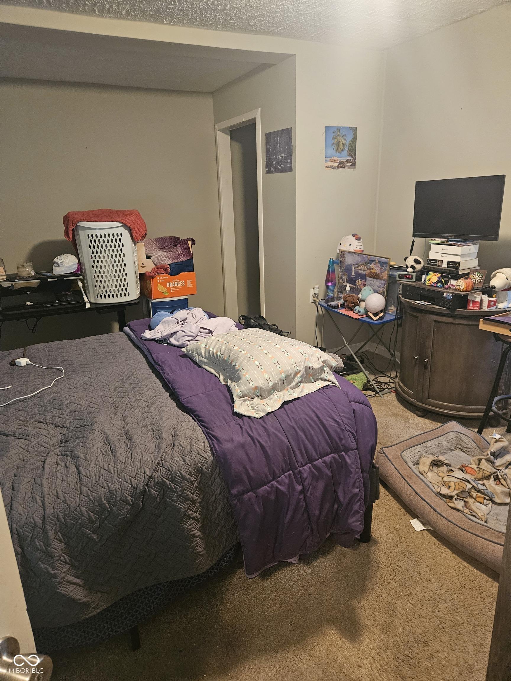 Photo #14