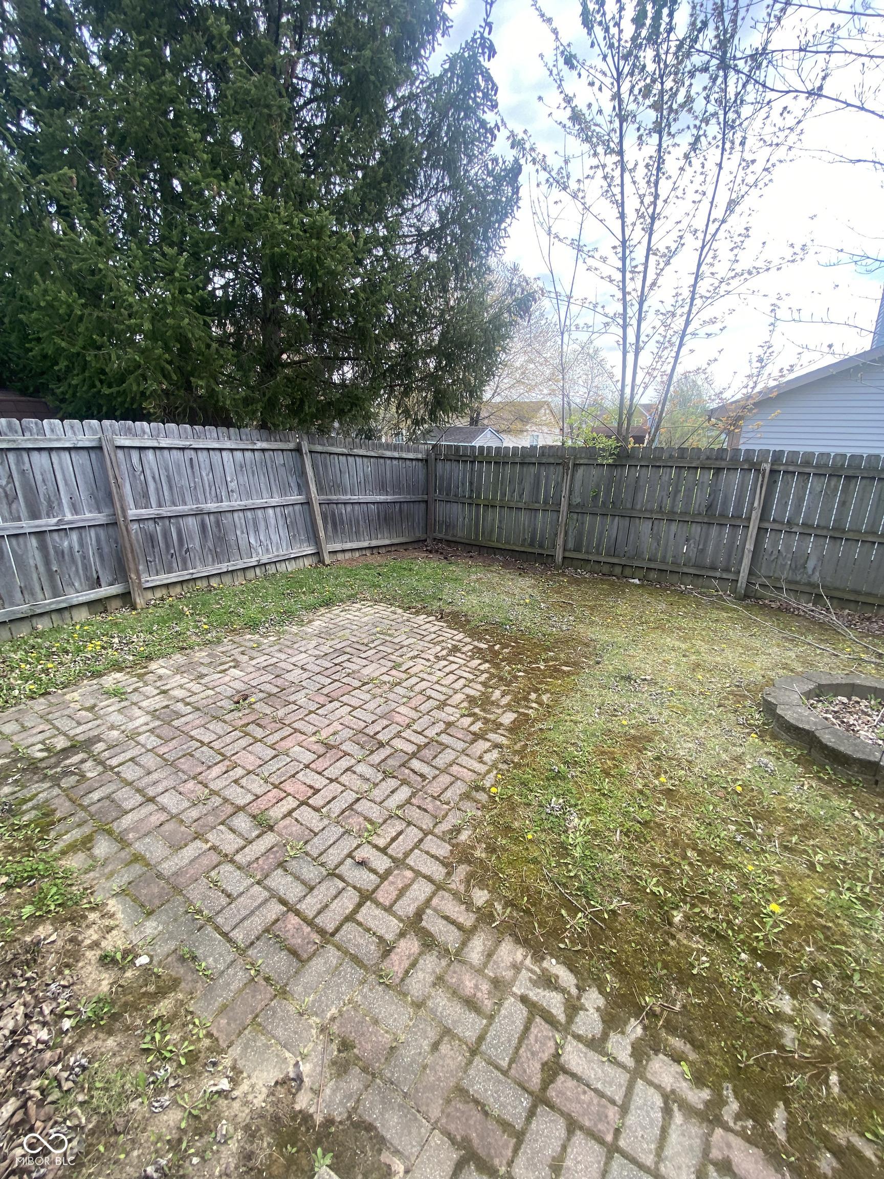 Photo #24