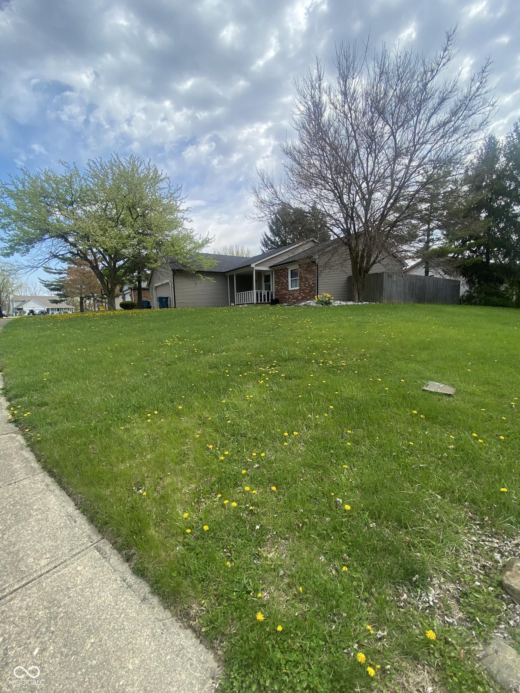 Photo #3