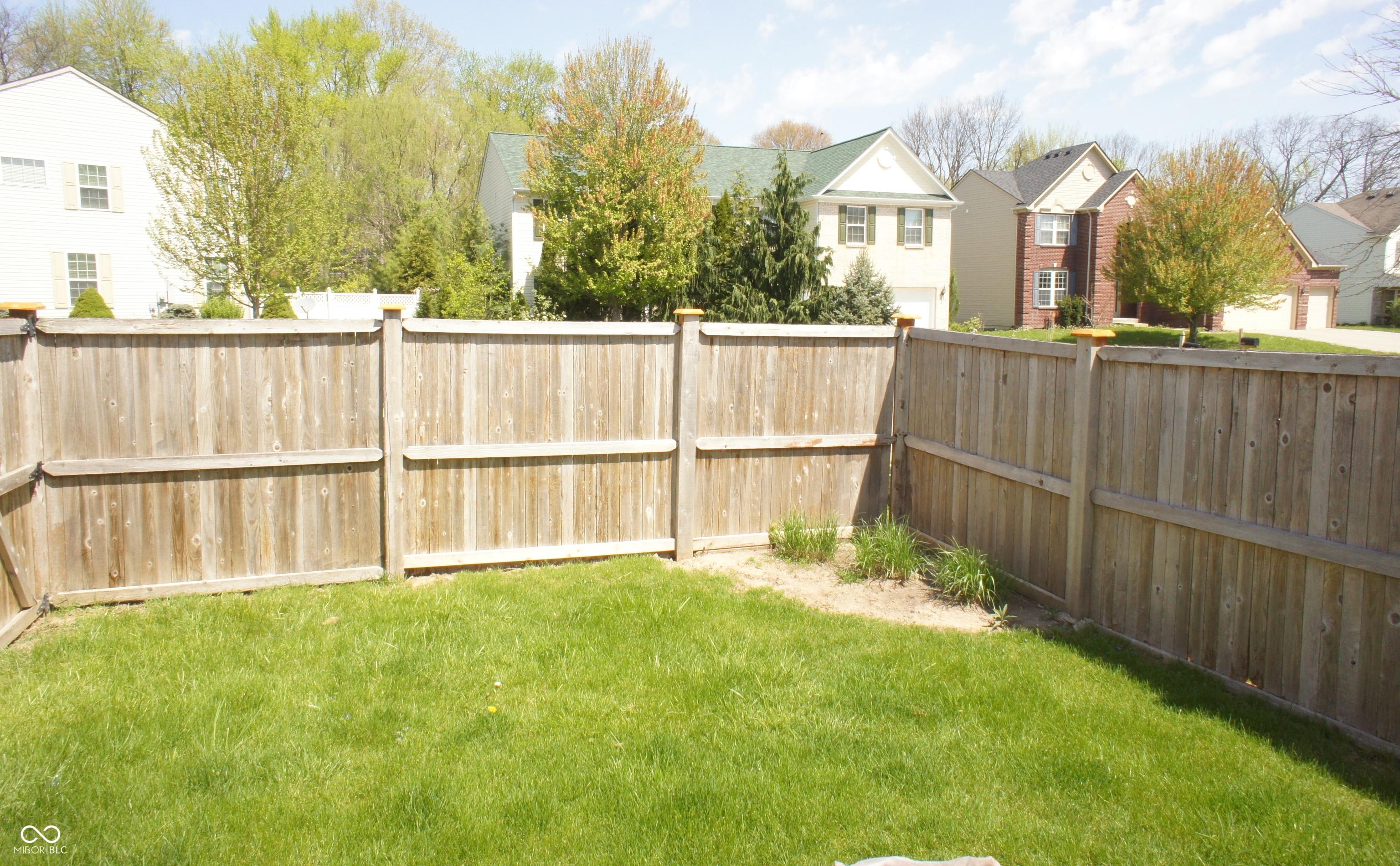 Photo #42