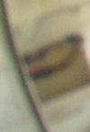 Photo #24